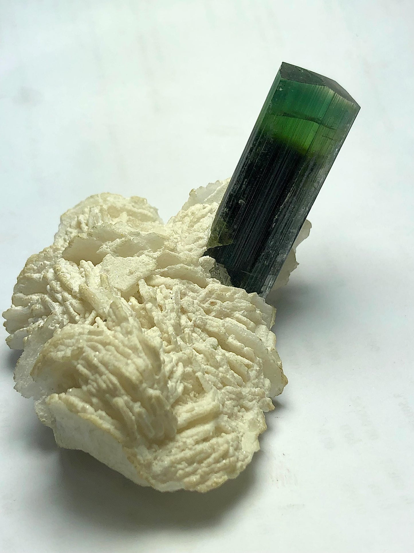 Bi Colour Tourmaline Specimen 109 g – Rare Display Piece from Afghanistan