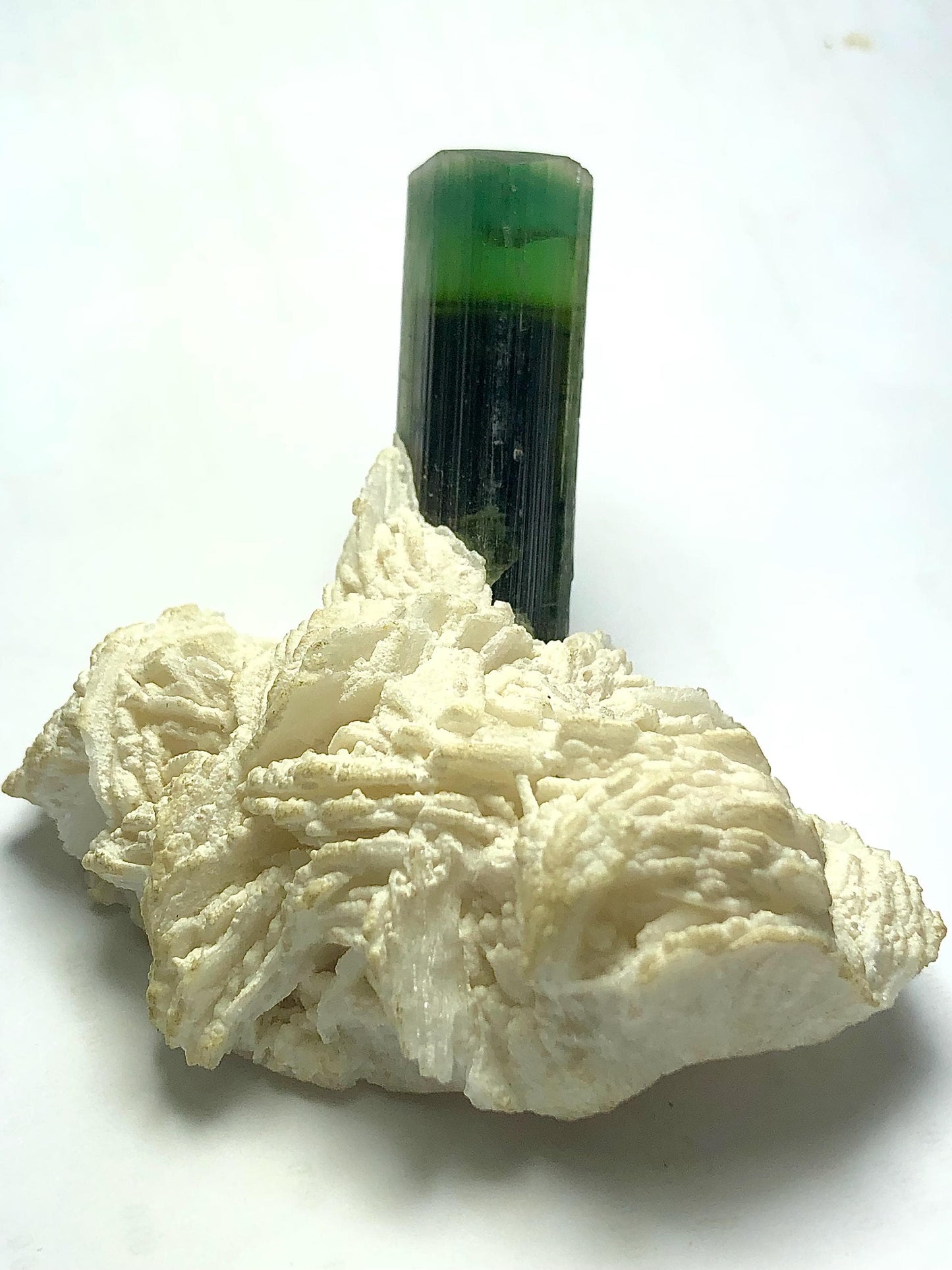 Bi Colour Tourmaline Specimen 109 g – Rare Display Piece from Afghanistan