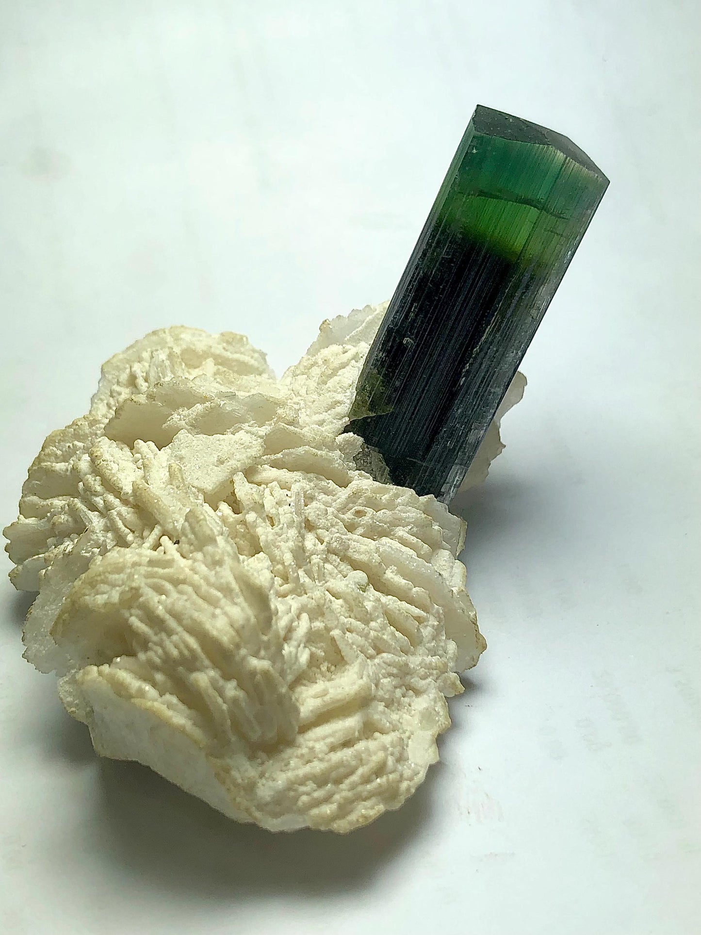 Bi Colour Tourmaline Specimen 109 g – Rare Display Piece from Afghanistan