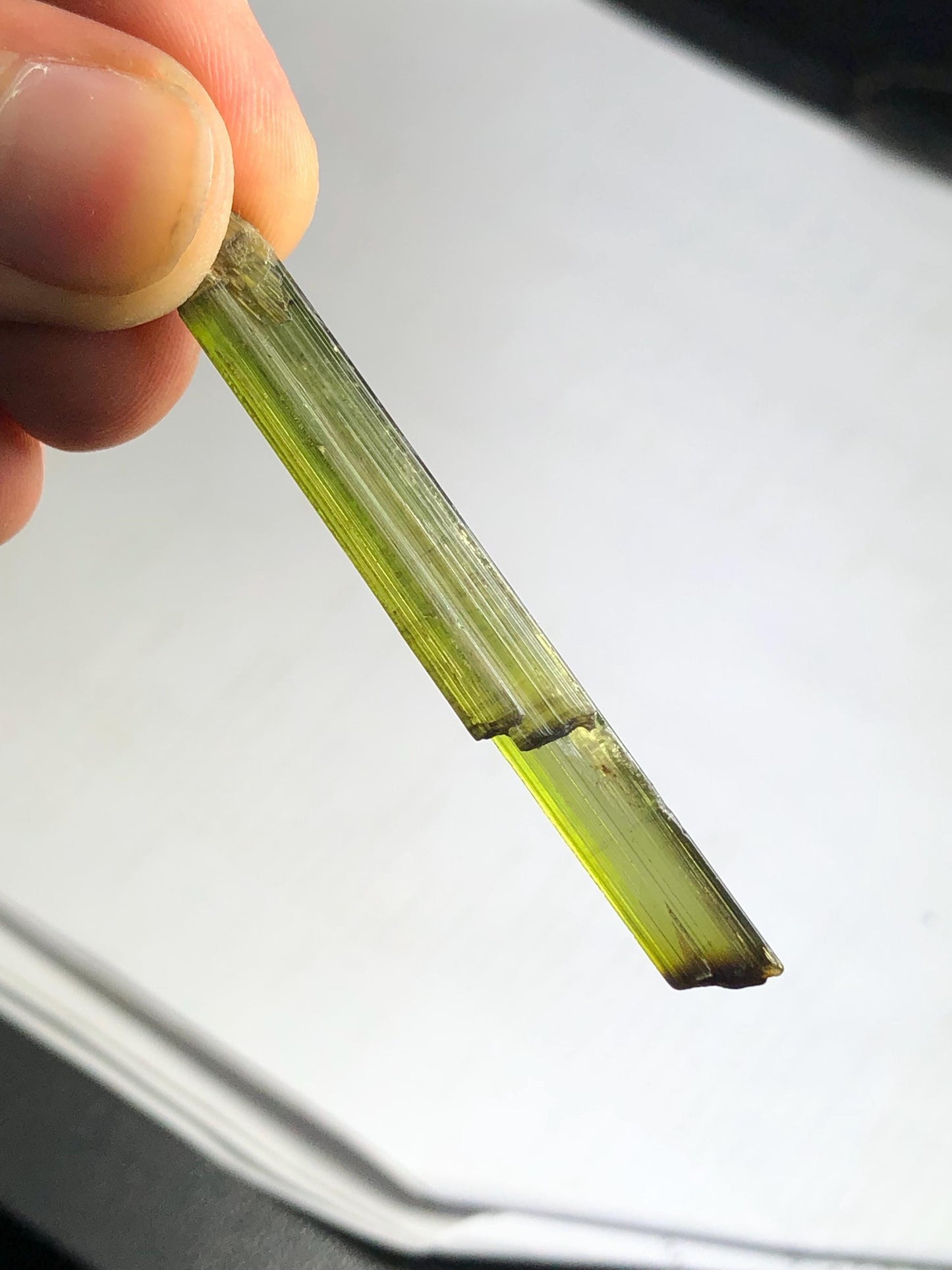 Olive Green Tourmaline Crystal 29.50 ct – Terminated Natural Specimen