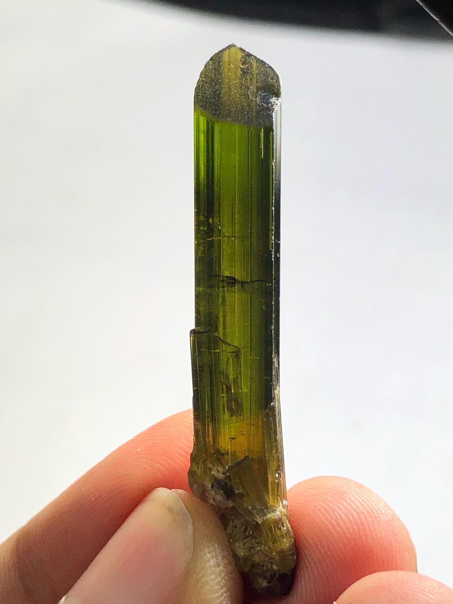 Olive Green Tourmaline Crystal 30.60 ct – Terminated Collector Piece