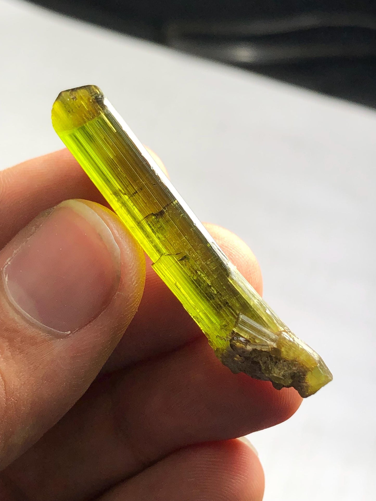 Olive Green Tourmaline Crystal 30.60 ct – Terminated Collector Piece