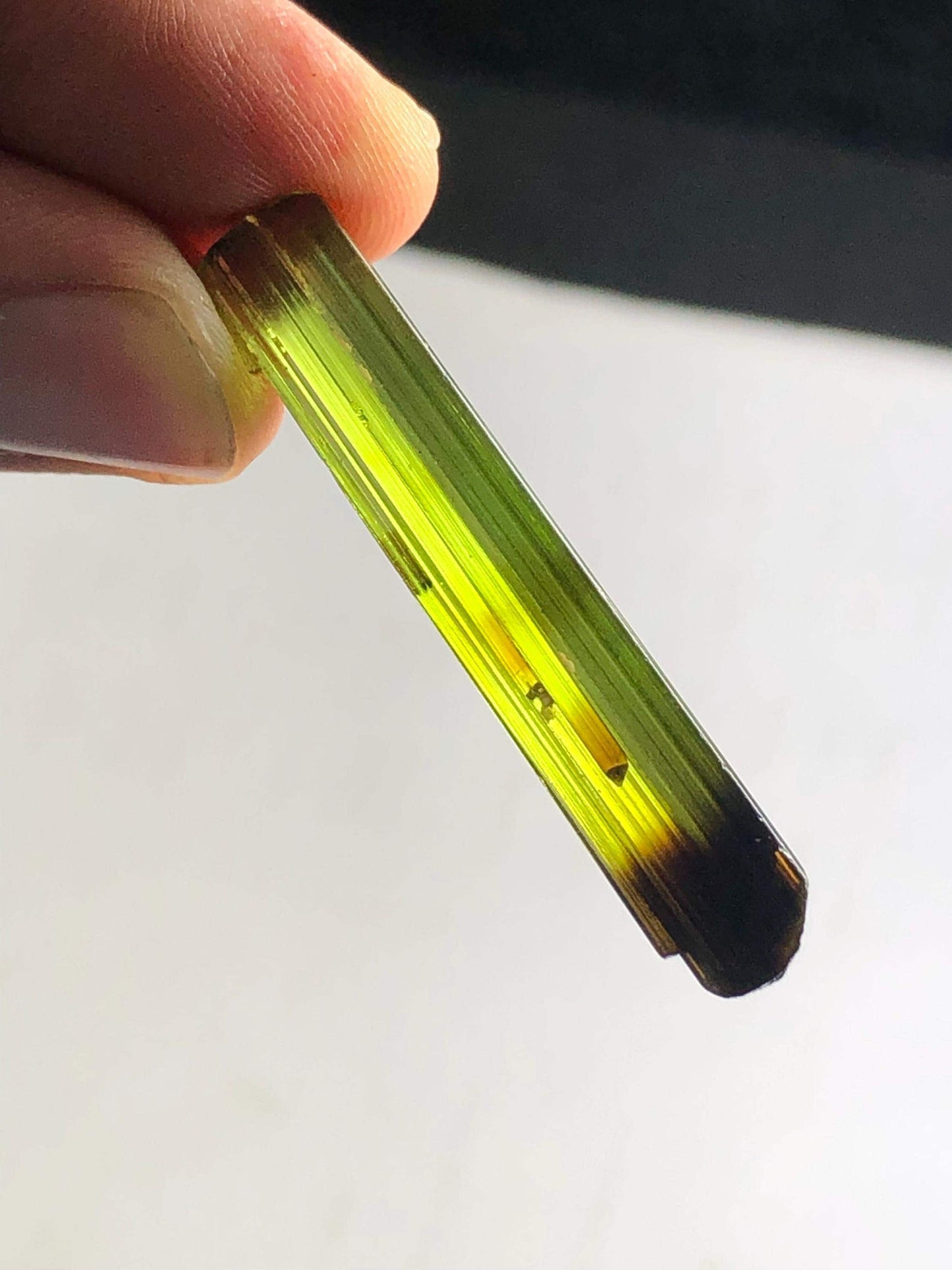 Olive Bi Colour Tourmaline Crystal 24 ct – Natural Display Mineral