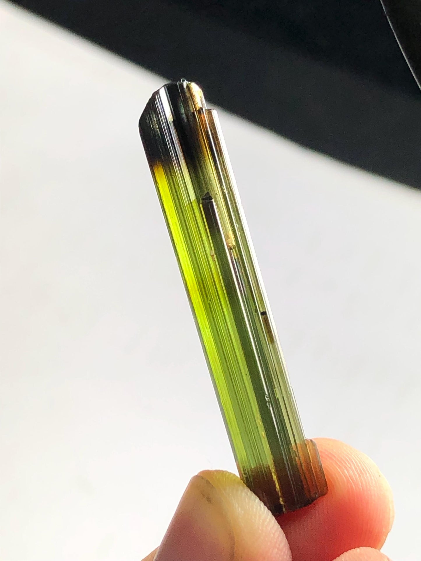 Olive Bi Colour Tourmaline Crystal 24 ct – Natural Display Mineral