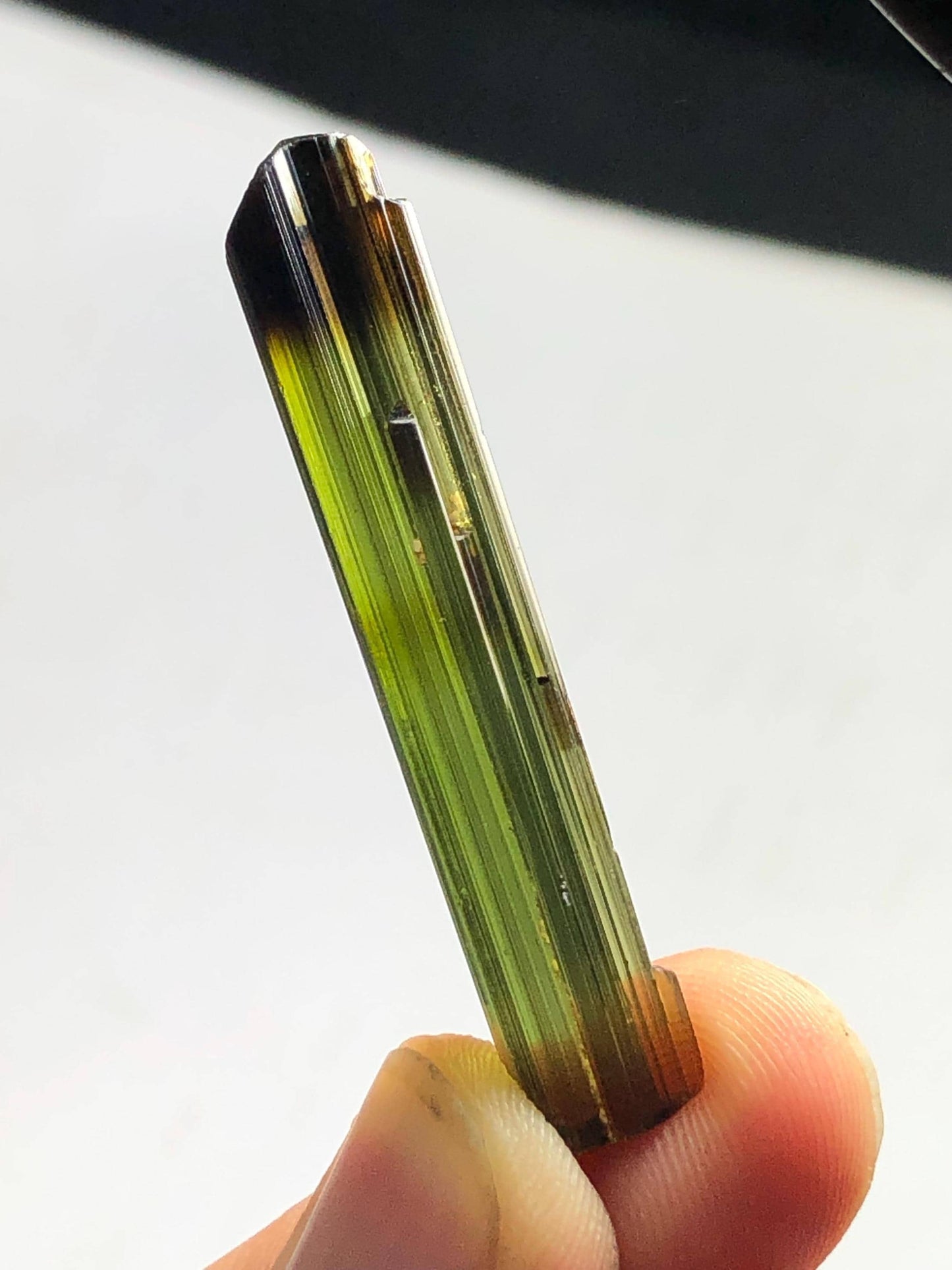 Olive Bi Colour Tourmaline Crystal 24 ct – Natural Display Mineral