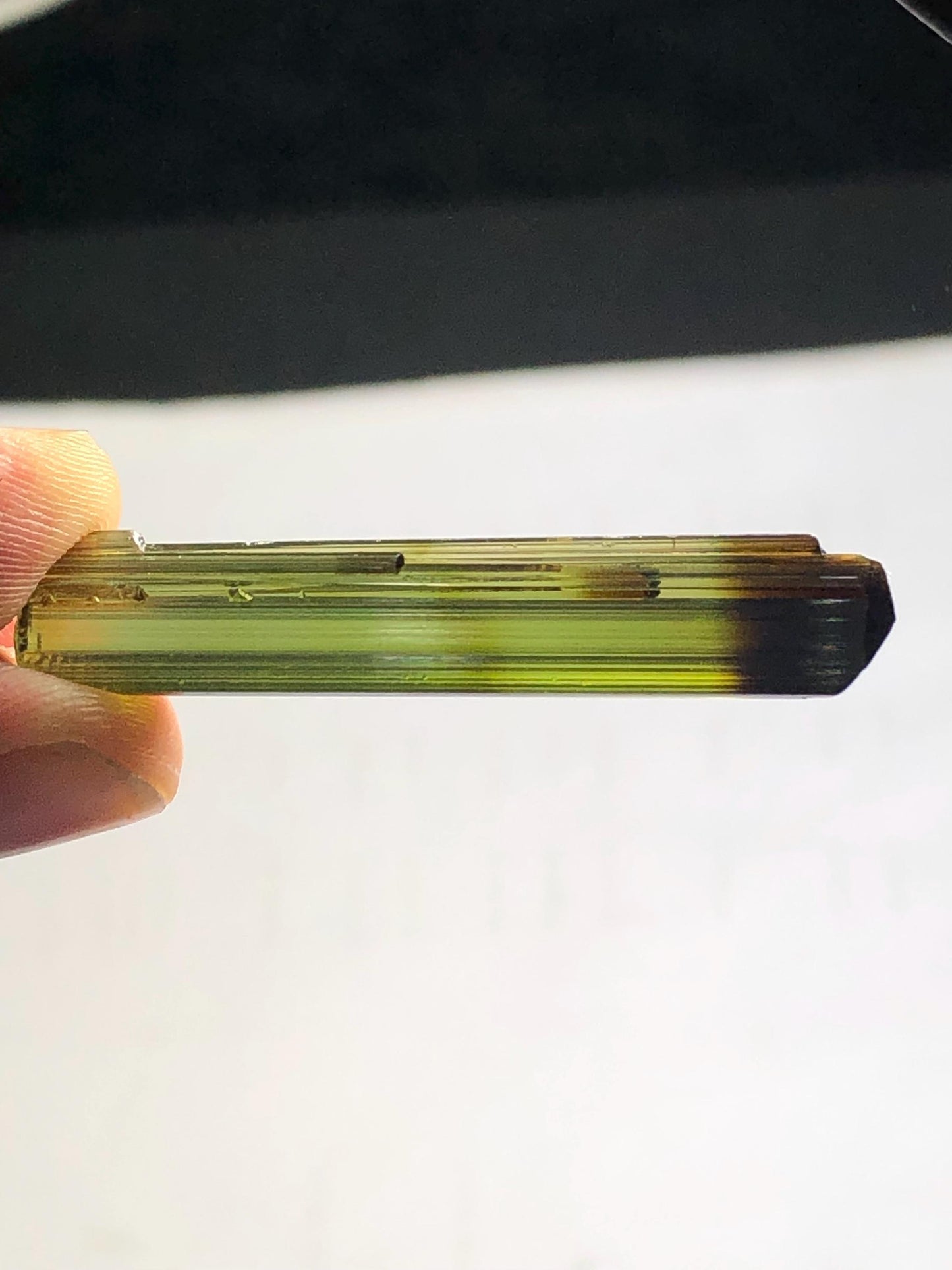 Olive Bi Colour Tourmaline Crystal 24 ct – Natural Display Mineral