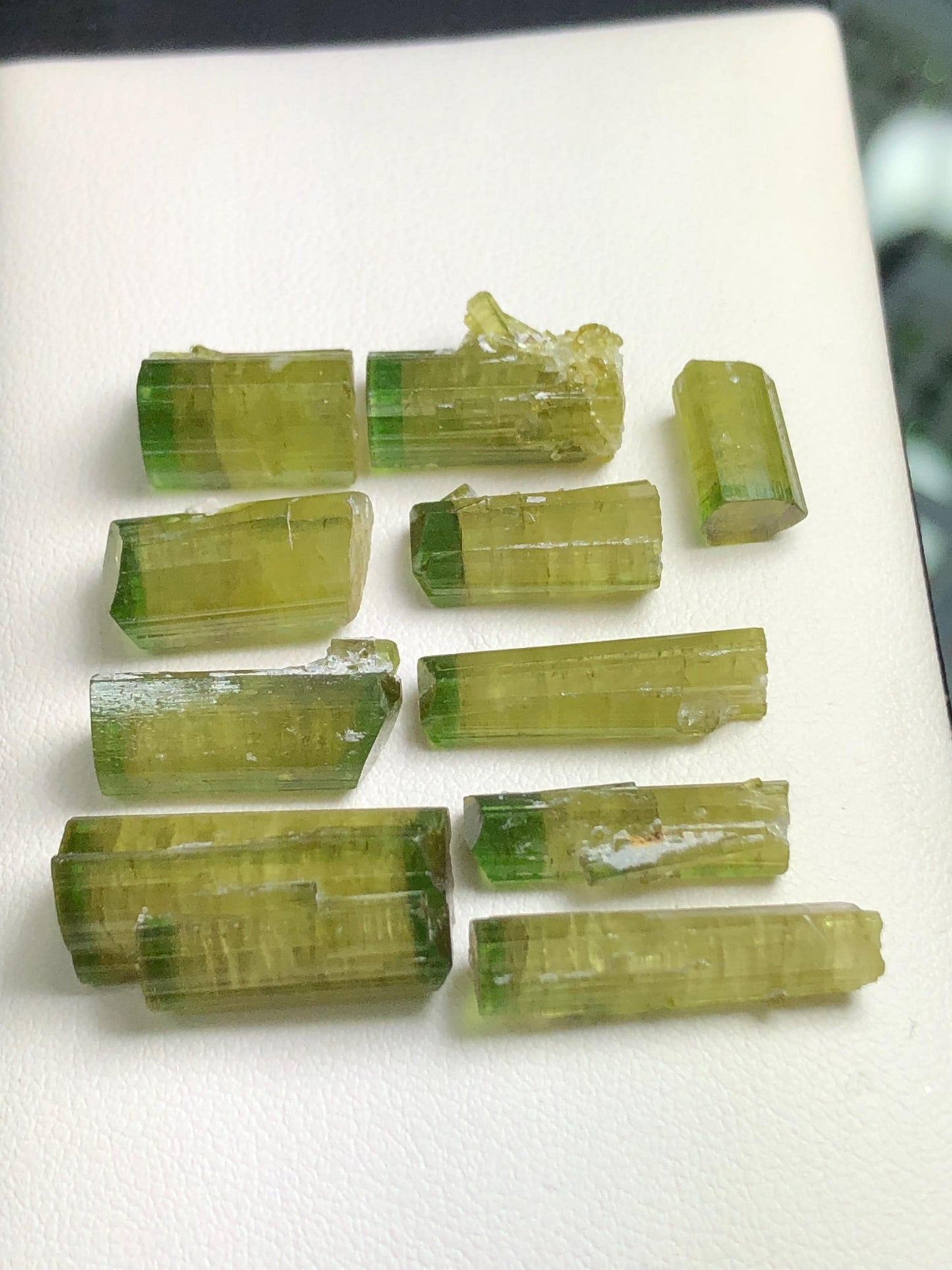 Bi Colour Tourmaline Crystal Lot 67 ct - Terminated Afghan Mineral Display