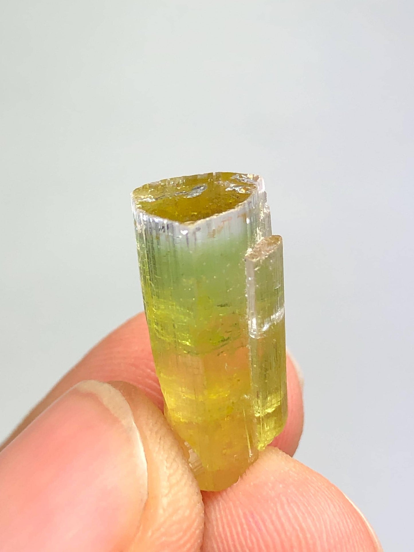 Bi Colour Tourmaline Crystal 13 ct - Natural Collector Piece from Afghanistan
