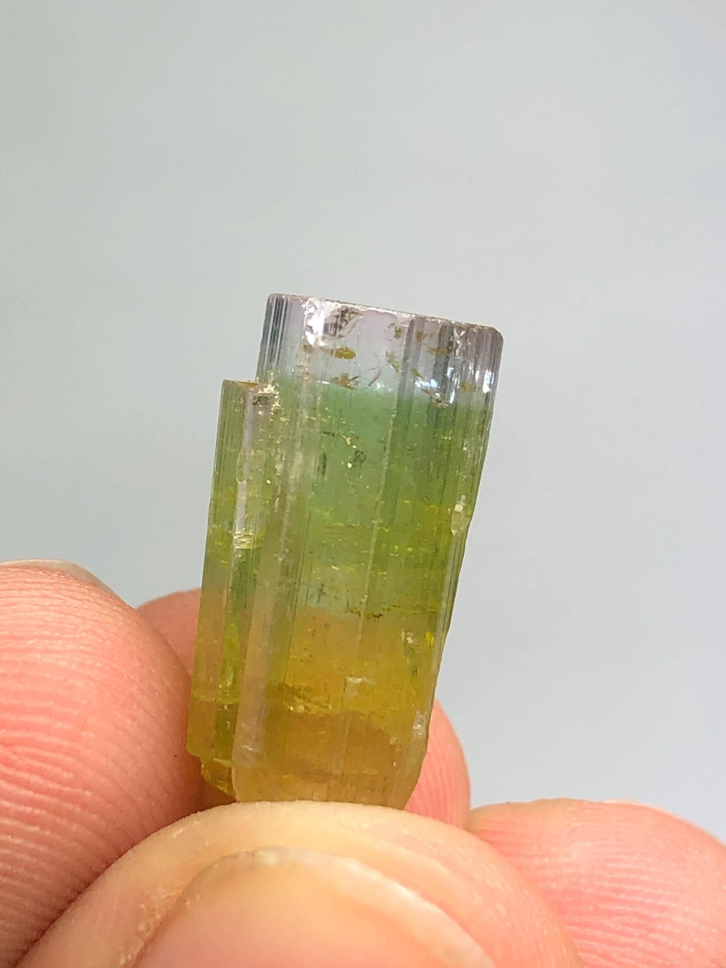 Bi Colour Tourmaline Crystal 13 ct - Natural Collector Piece from Afghanistan
