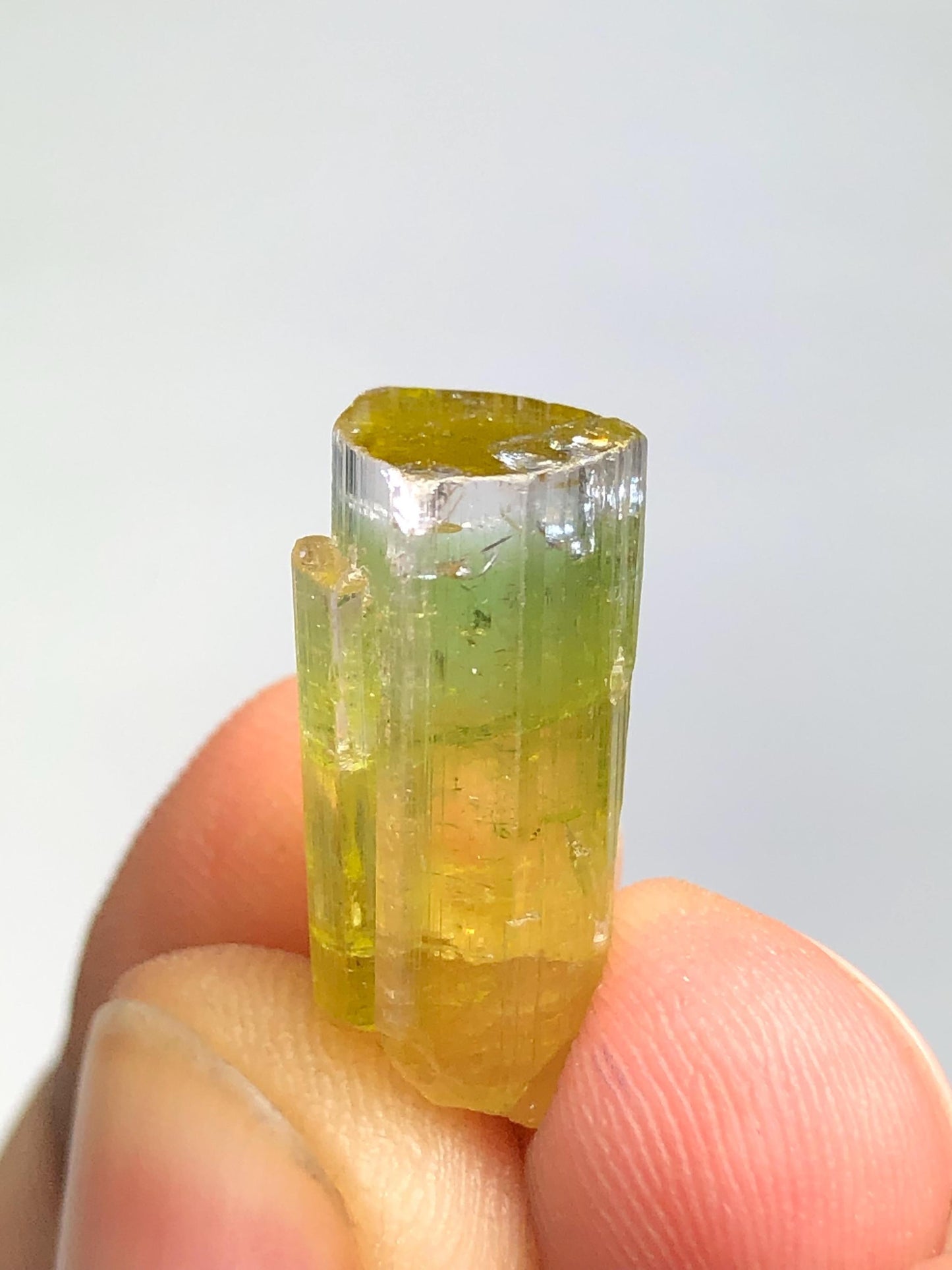 Bi Colour Tourmaline Crystal 13 ct - Natural Collector Piece from Afghanistan