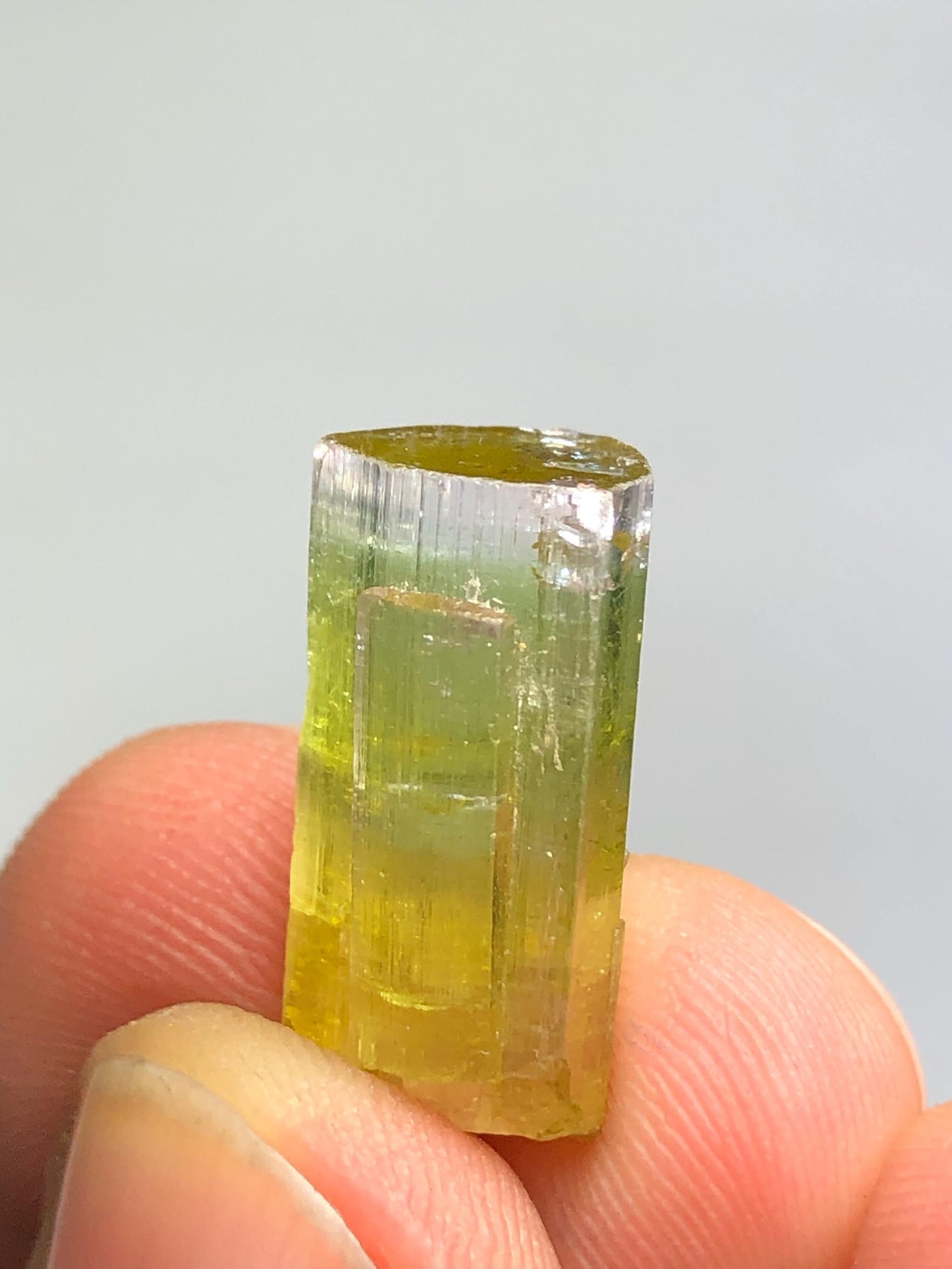 Bi Colour Tourmaline Crystal 13 ct - Natural Collector Piece from Afghanistan