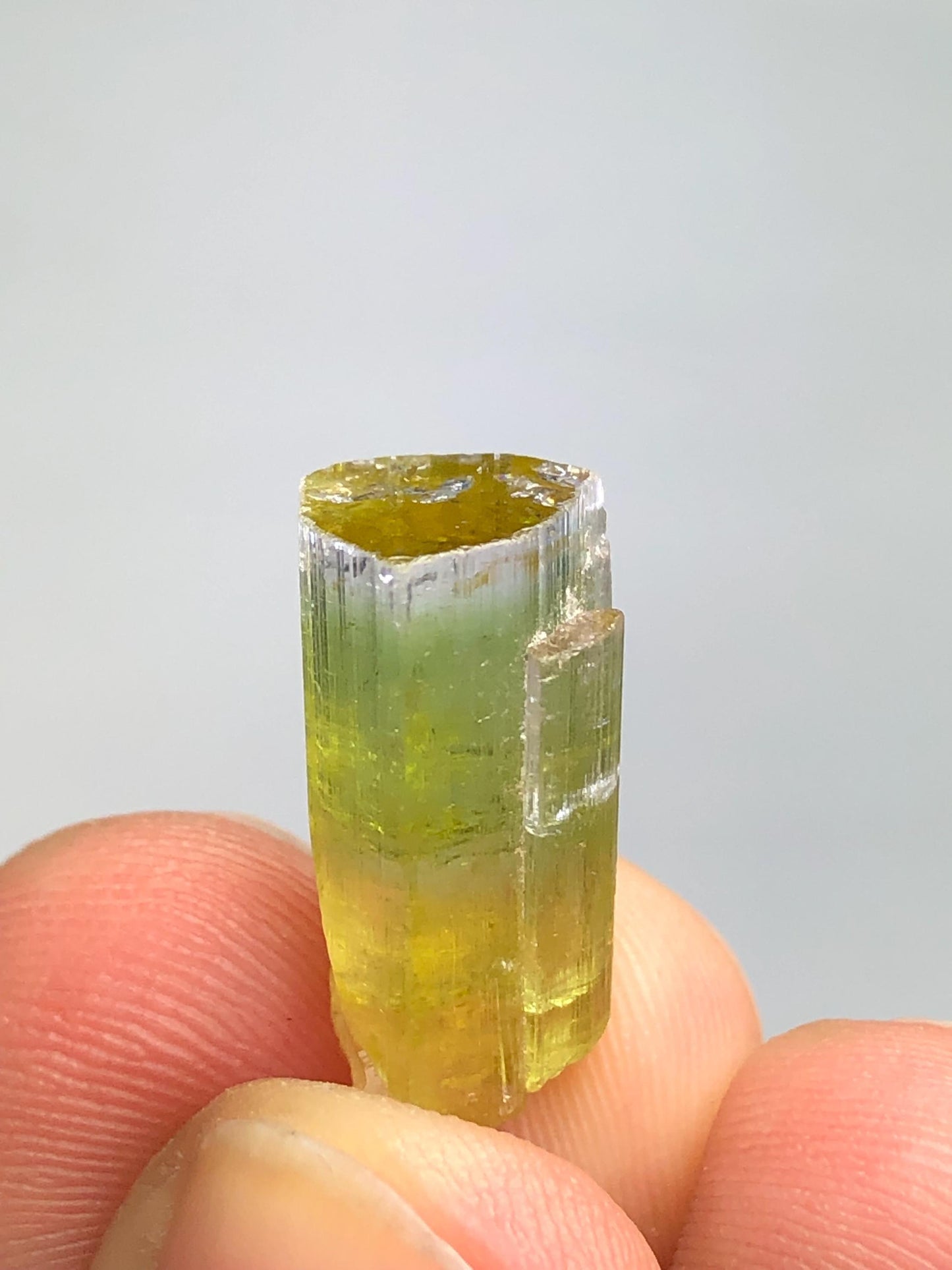 Bi Colour Tourmaline Crystal 13 ct - Natural Collector Piece from Afghanistan