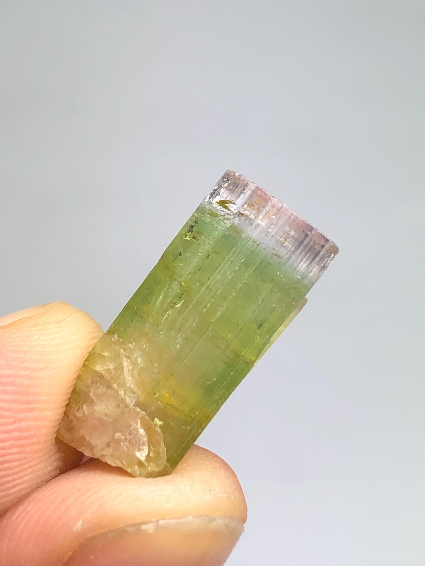 Bi Colour Tourmaline Crystal 13 ct - Natural Collector Piece from Afghanistan