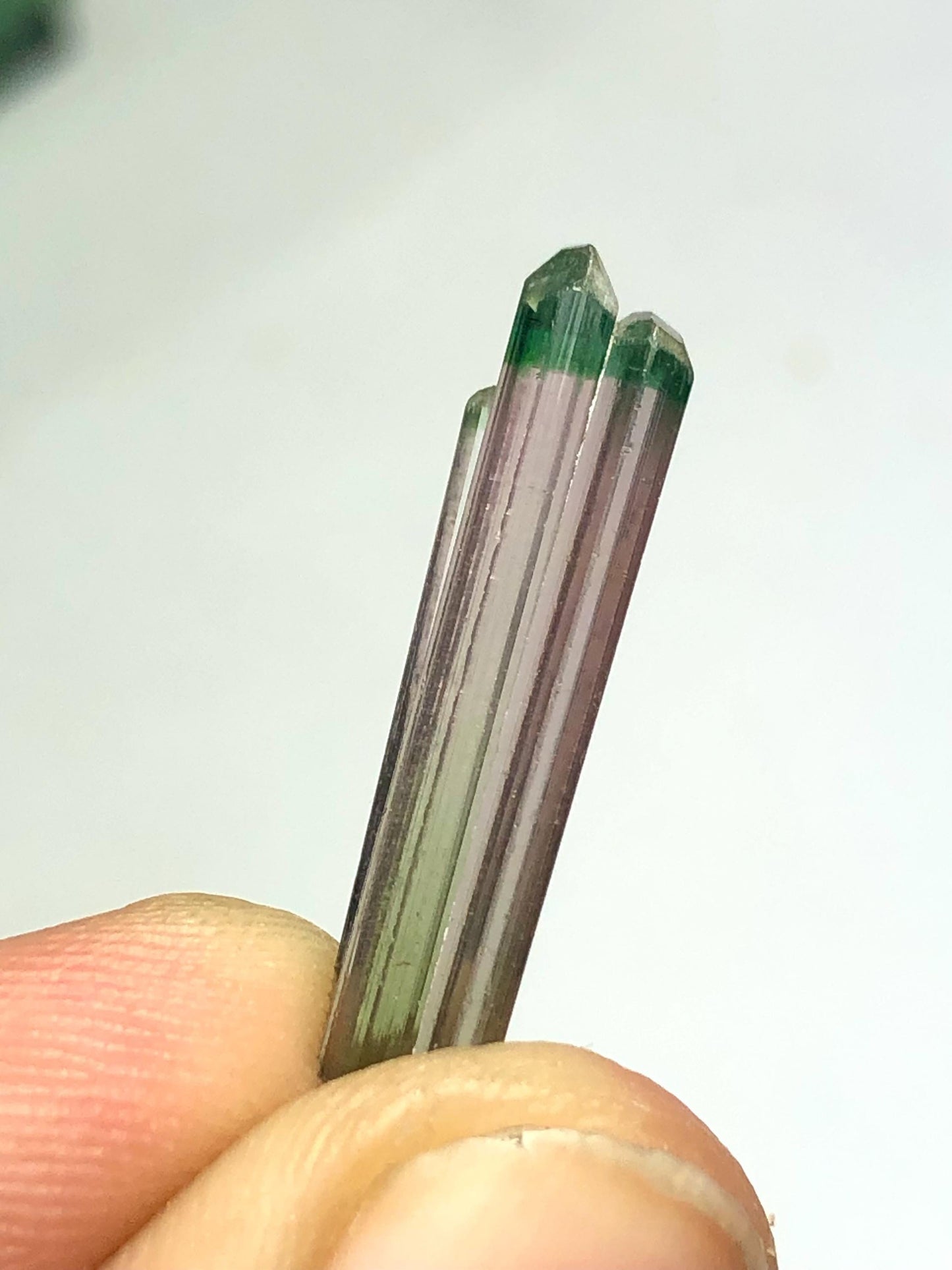 Bi Colour Tourmaline Crystal 4.75 ct - Terminated Afghan Collector Piece