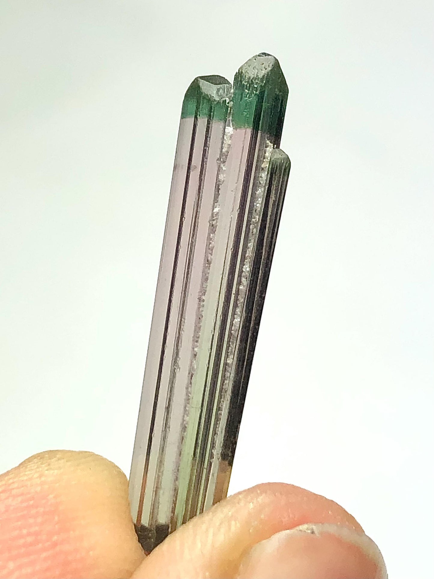 Bi Colour Tourmaline Crystal 4.75 ct - Terminated Afghan Collector Piece