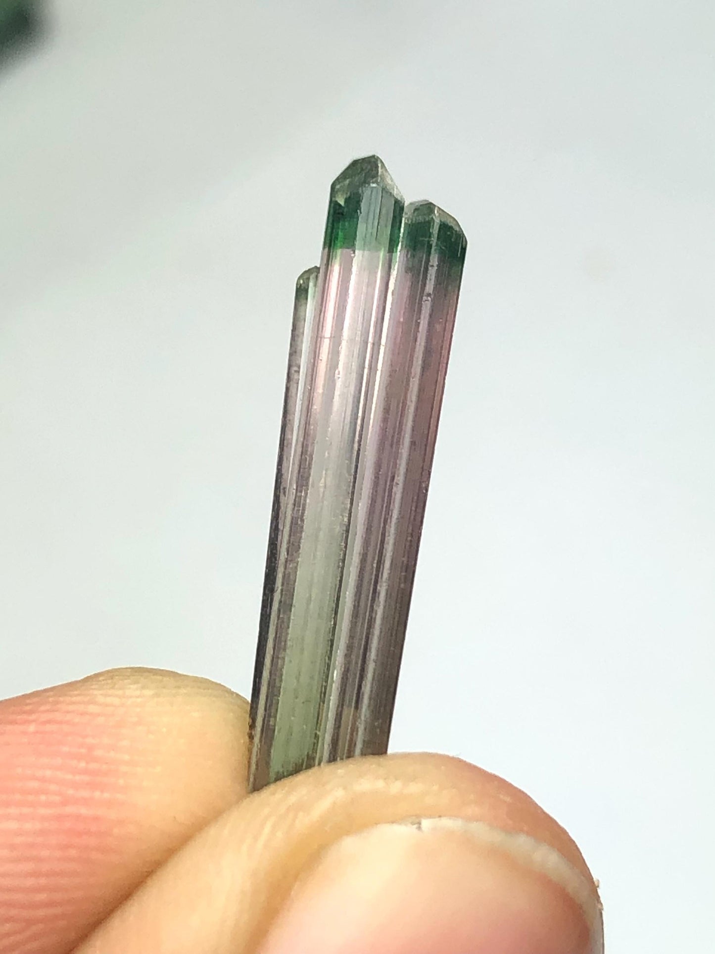 Bi Colour Tourmaline Crystal 4.75 ct - Terminated Afghan Collector Piece