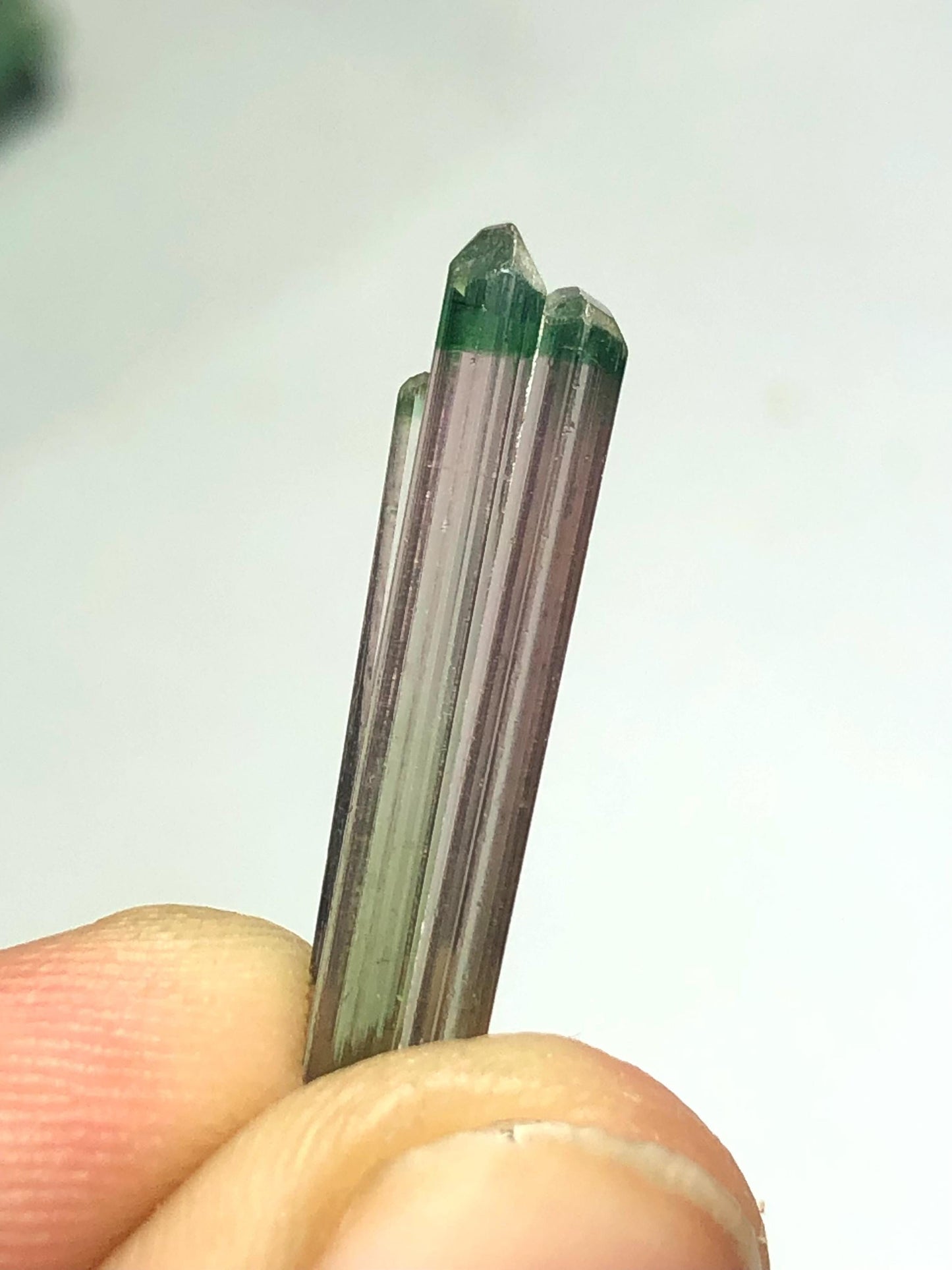 Bi Colour Tourmaline Crystal 4.75 ct - Terminated Afghan Collector Piece