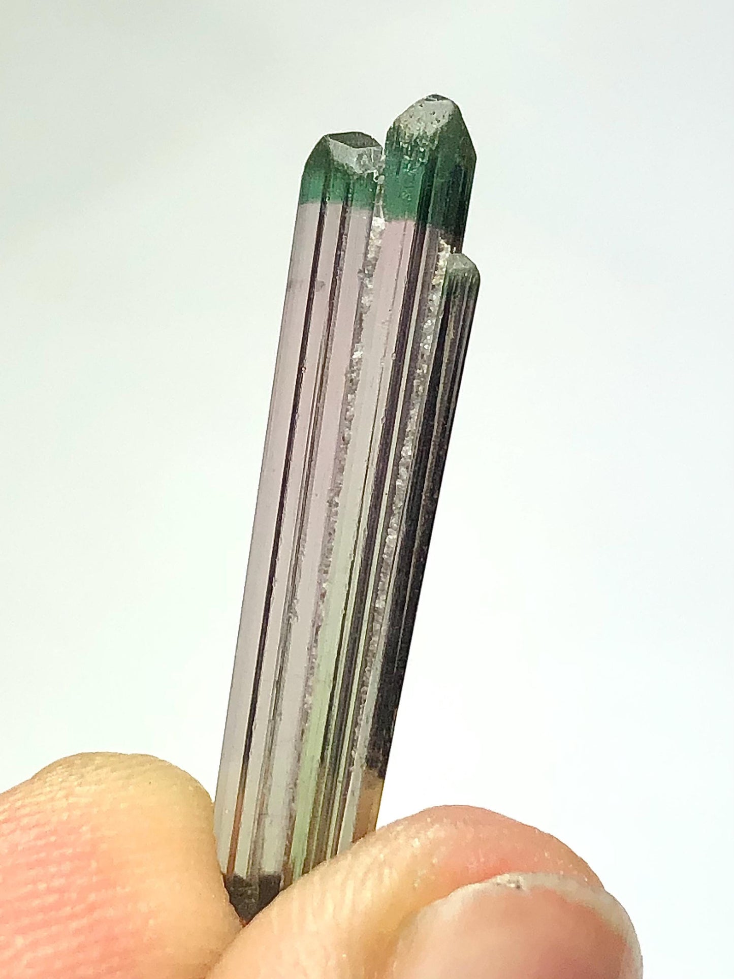 Bi Colour Tourmaline Crystal 4.75 ct - Terminated Afghan Collector Piece