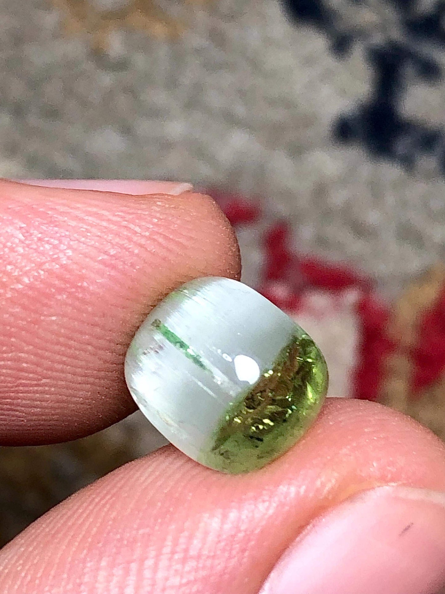 3.60 Carat Bi-Color Cat's Eye Tourmaline Cabochon: Flat Back, Afghanistan Origin