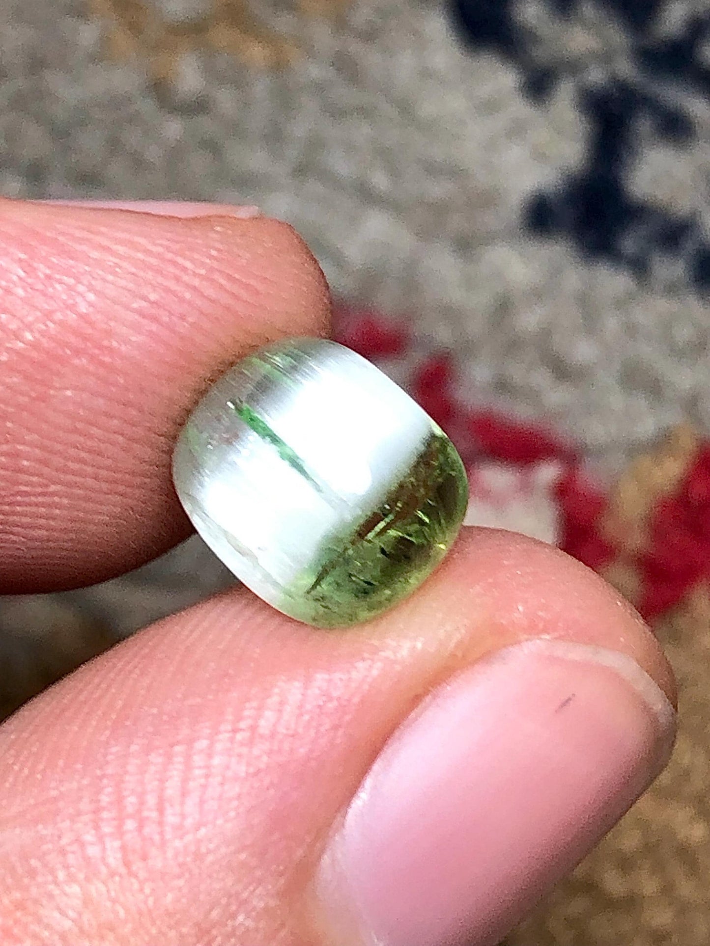 3.60 Carat Bi-Color Cat's Eye Tourmaline Cabochon: Flat Back, Afghanistan Origin