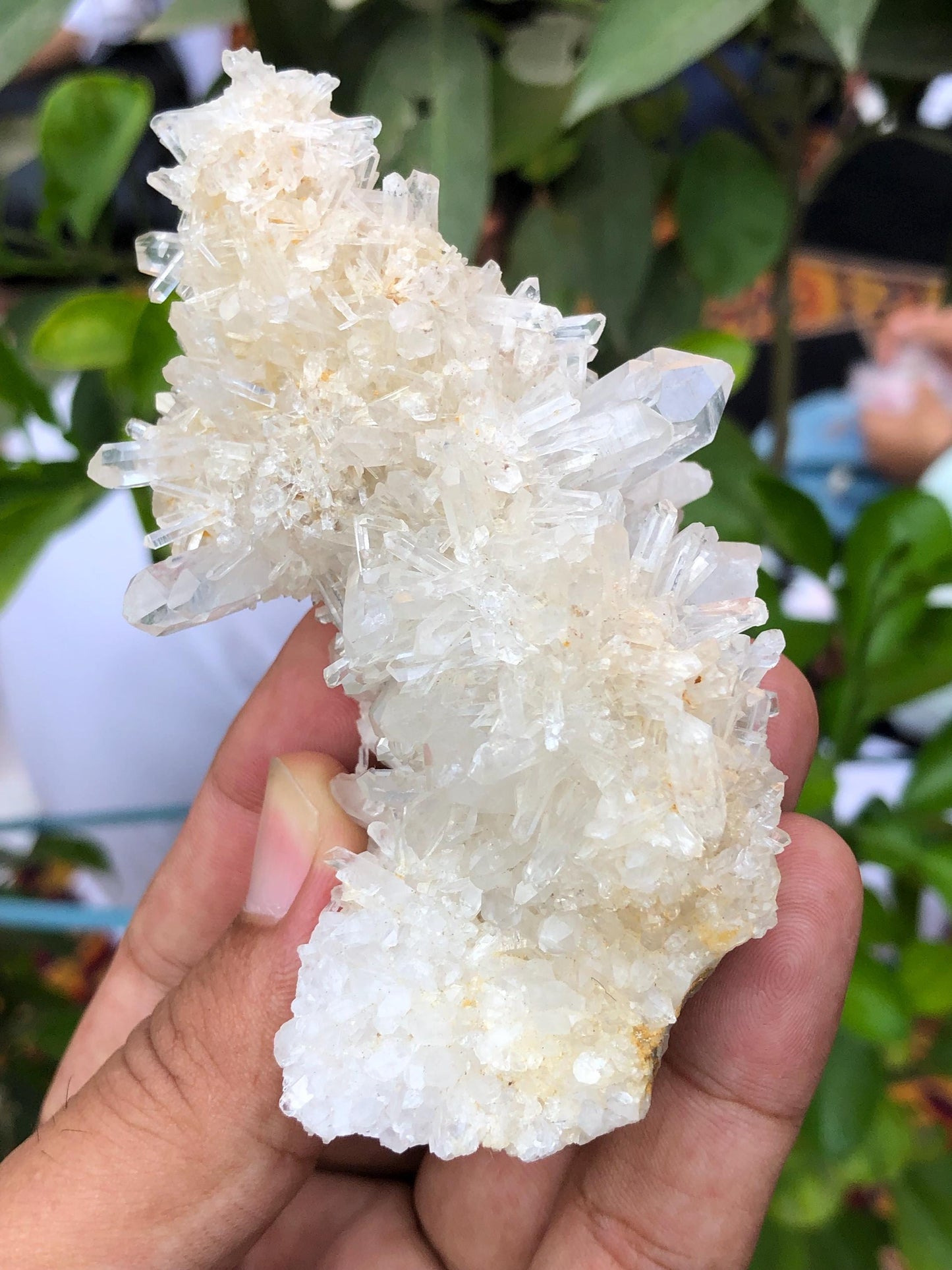 Quartz Crystal Specimen 135 g - Collector Specimen