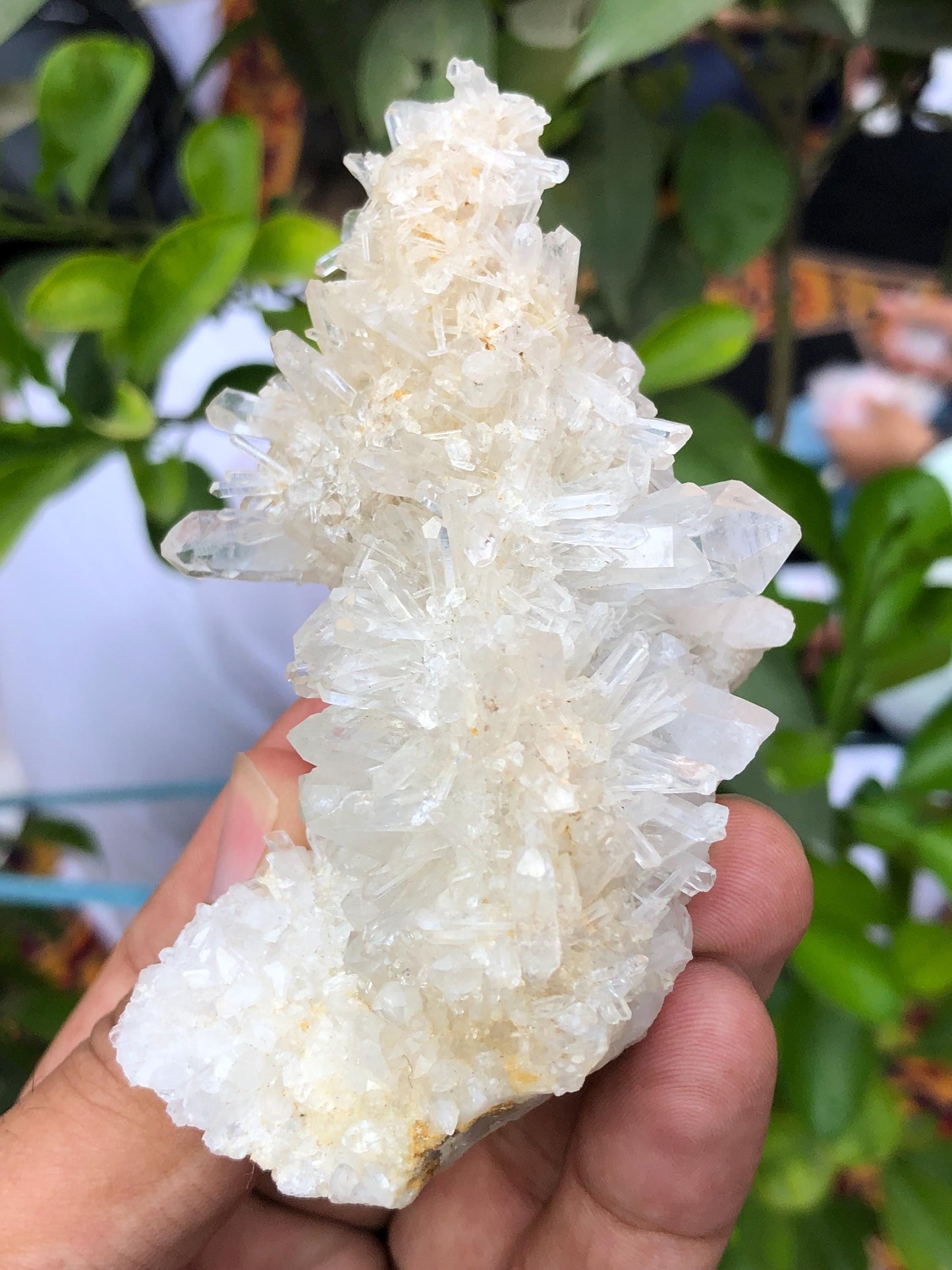 Quartz Crystal Specimen 135 g - Collector Specimen