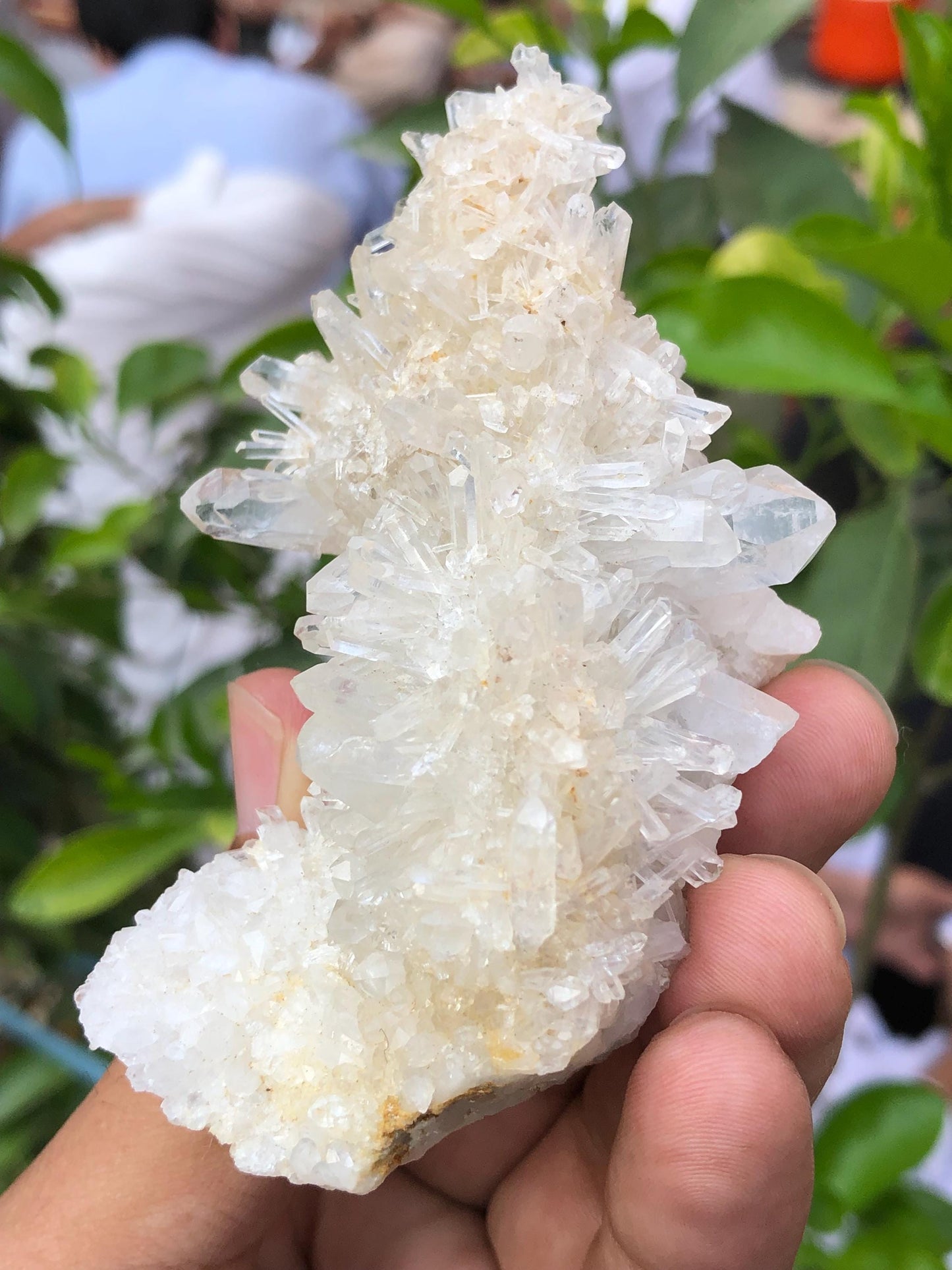 Quartz Crystal Specimen 135 g - Collector Specimen