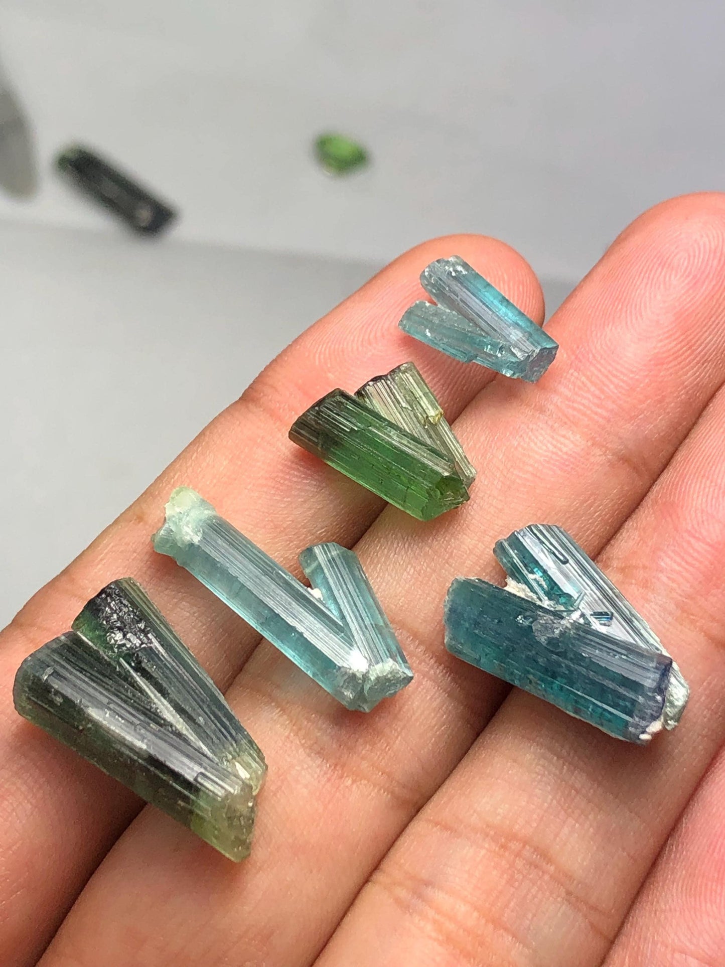 Blue Green Tourmaline Crystals 44 ct - Collector Mineral Specimen