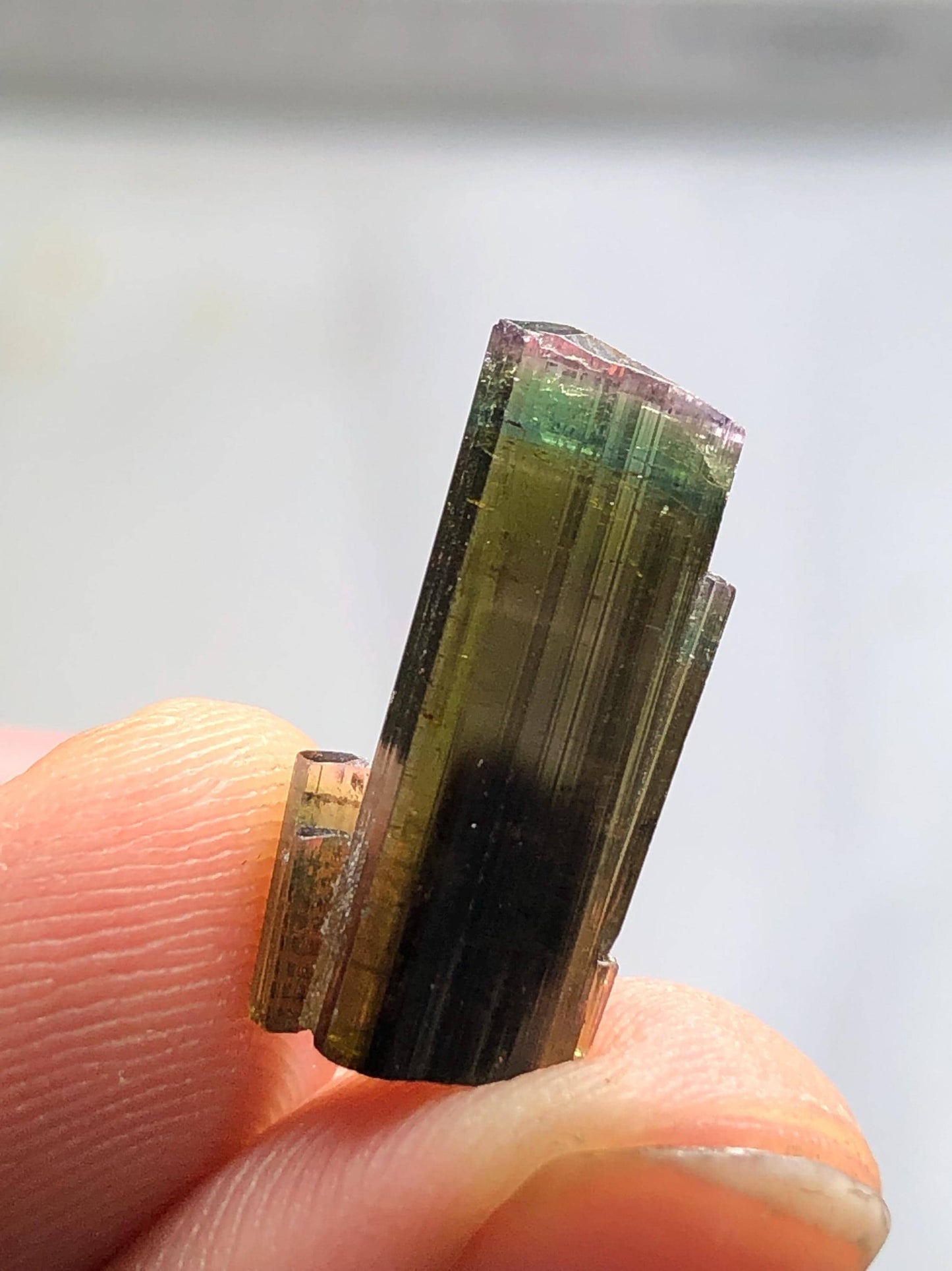 Tri Colour Tourmaline Crystal 8 ct - Collector Mineral Specimen