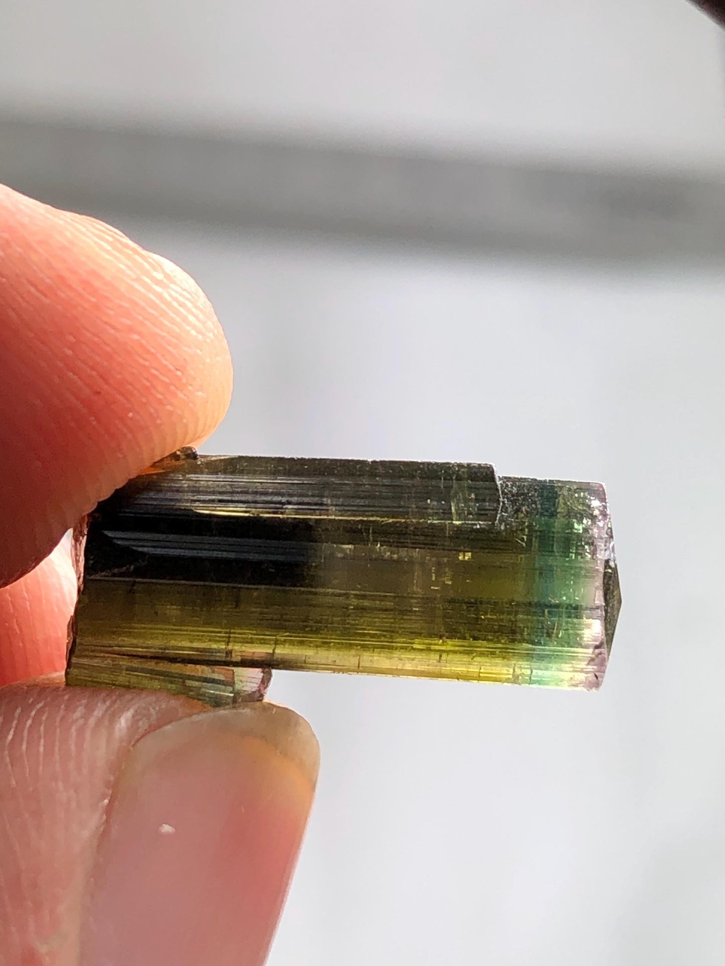 Tri Colour Tourmaline Crystal 8 ct - Collector Mineral Specimen