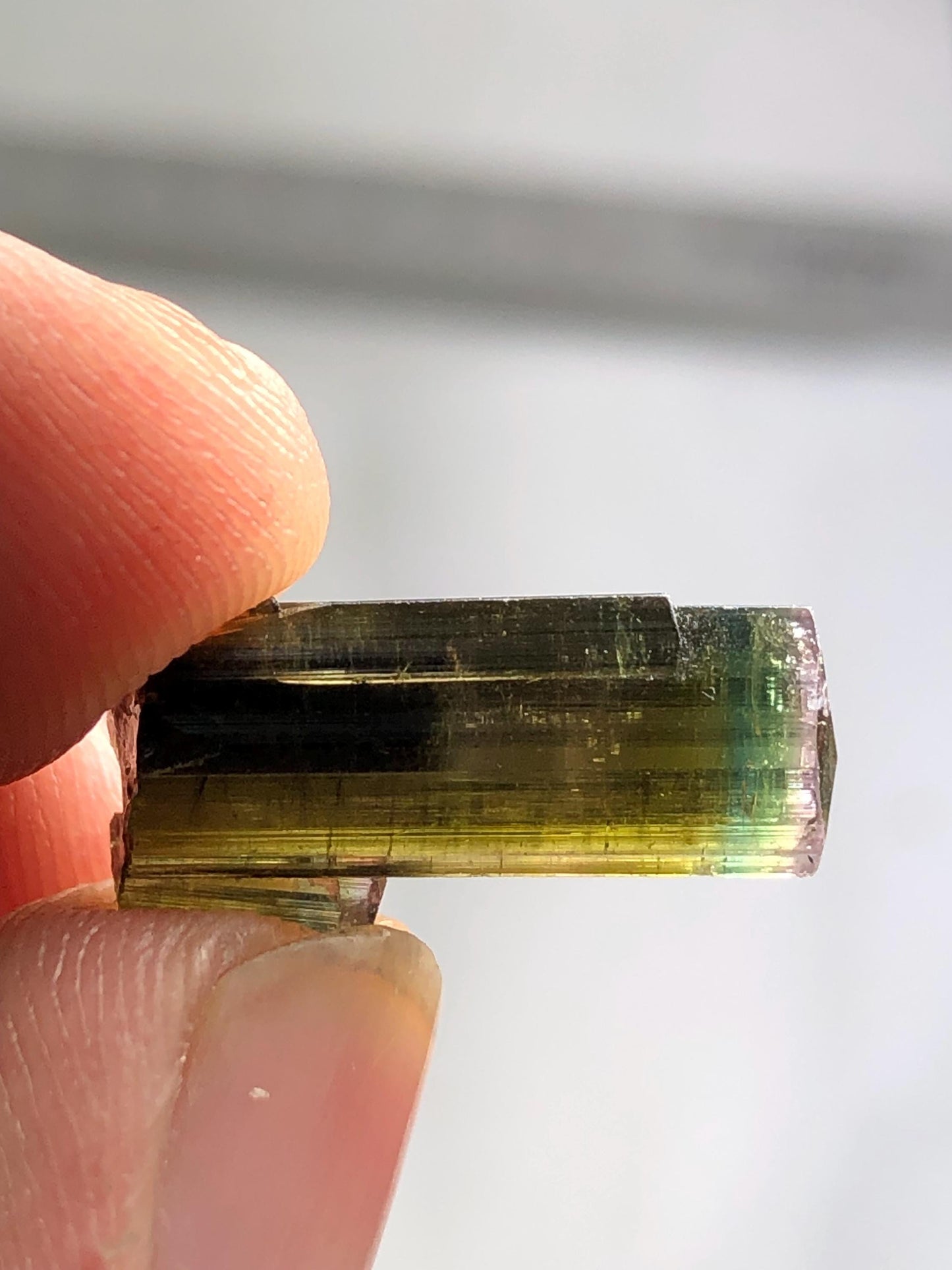 Tri Colour Tourmaline Crystal 8 ct - Collector Mineral Specimen