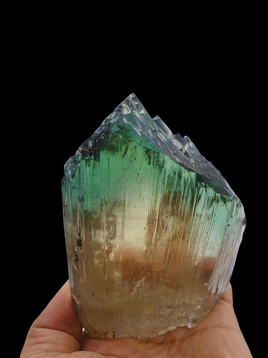 Bi Colour Kunzite Crystal 762 g - Collector Mineral Specimen Kunar