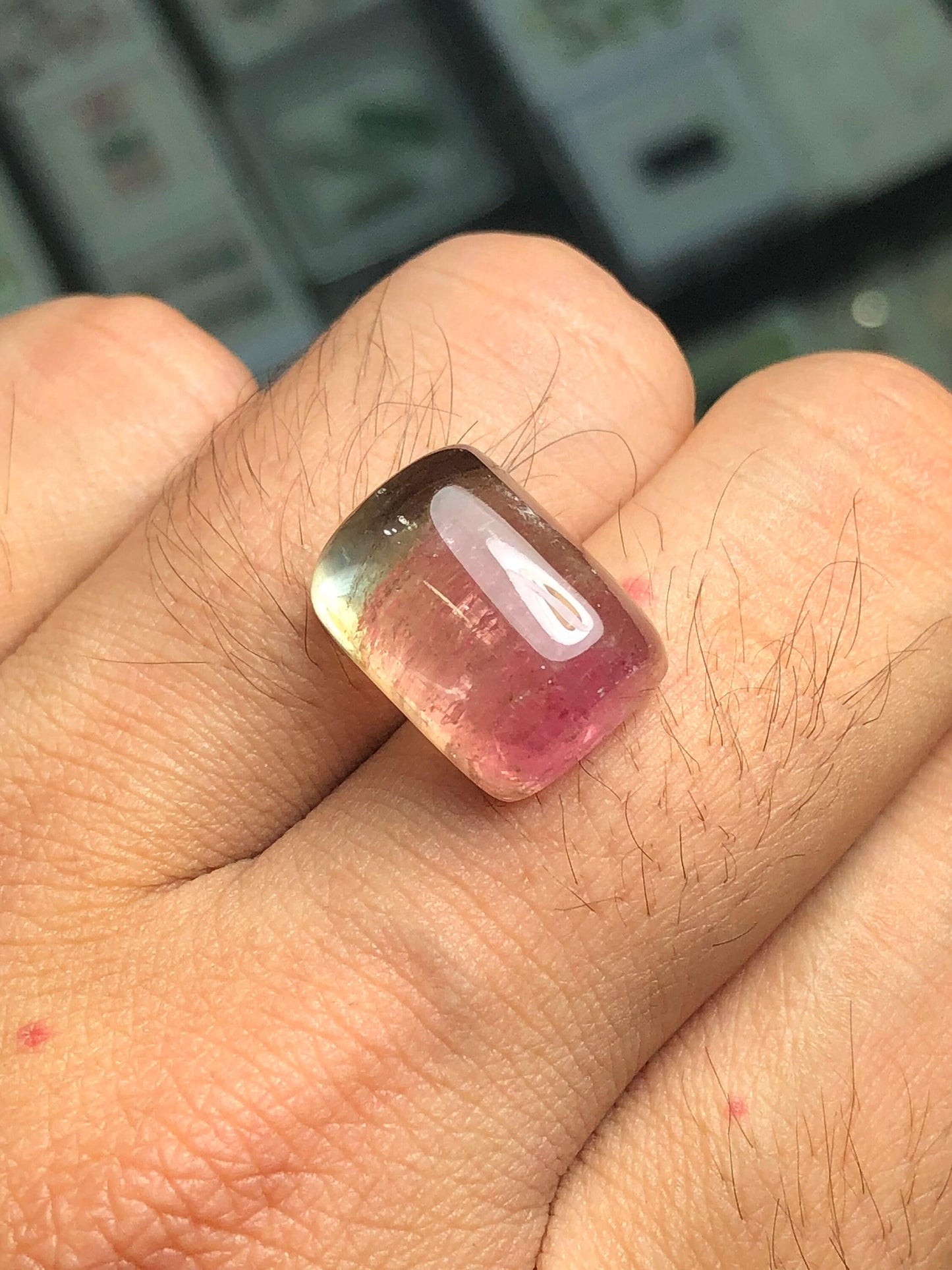Watermelon Tourmaline Faceted 18.25 ct - Collector Gemstone Piece