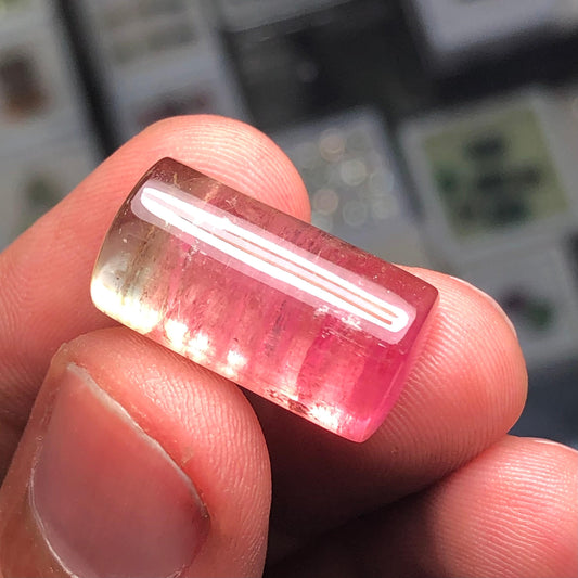 Watermelon Tourmaline Cabochon 20.45 ct - Loose Jewelry Gemstone