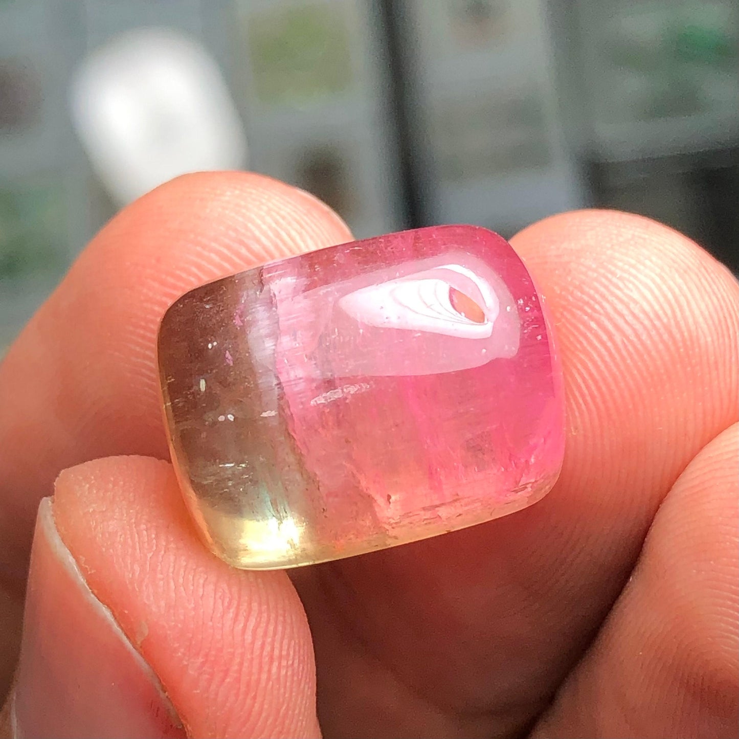 Watermelon Tourmaline Faceted 26.90 ct - Collector Gemstone Piece