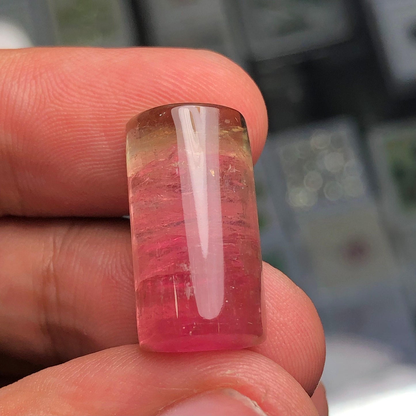 Watermelon Tourmaline Cabochon 20.45 ct - Loose Jewelry Gemstone