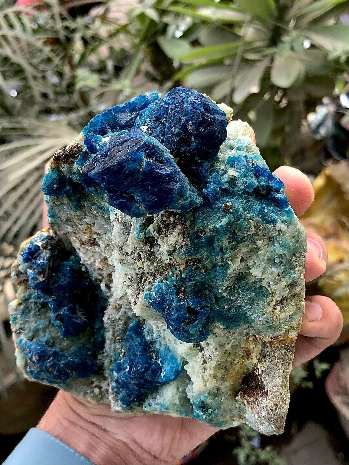 Afghanite Specimen 1 kg+ - Collector Mineral Specimen