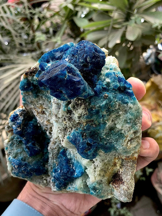 Afghanite Specimen 1 kg+ - Collector Mineral Specimen