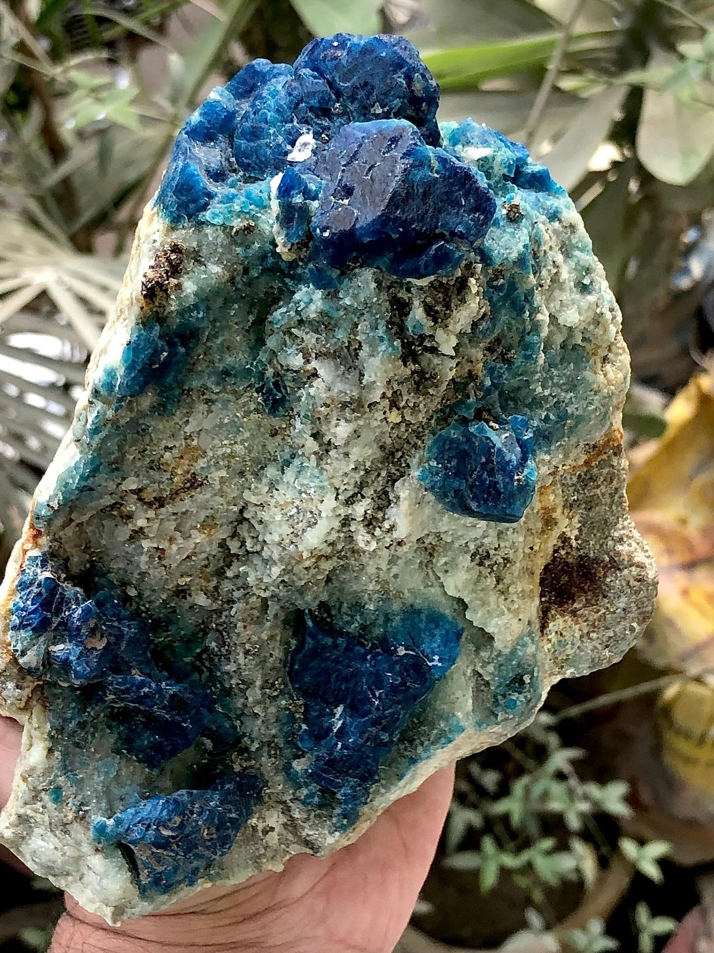 Afghanite Specimen 1 kg+ - Collector Mineral Specimen