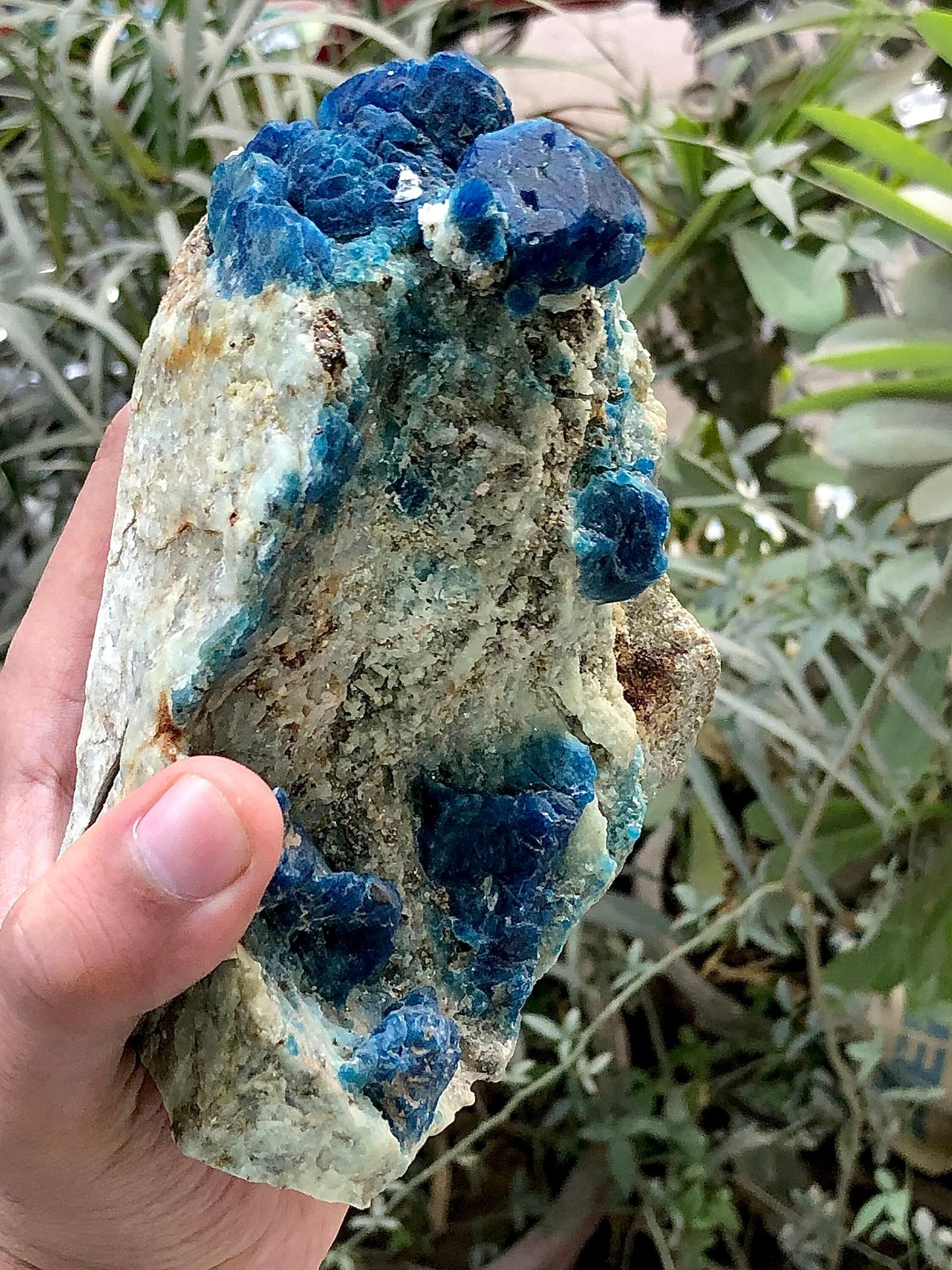 Afghanite Specimen 1 kg+ - Collector Mineral Specimen