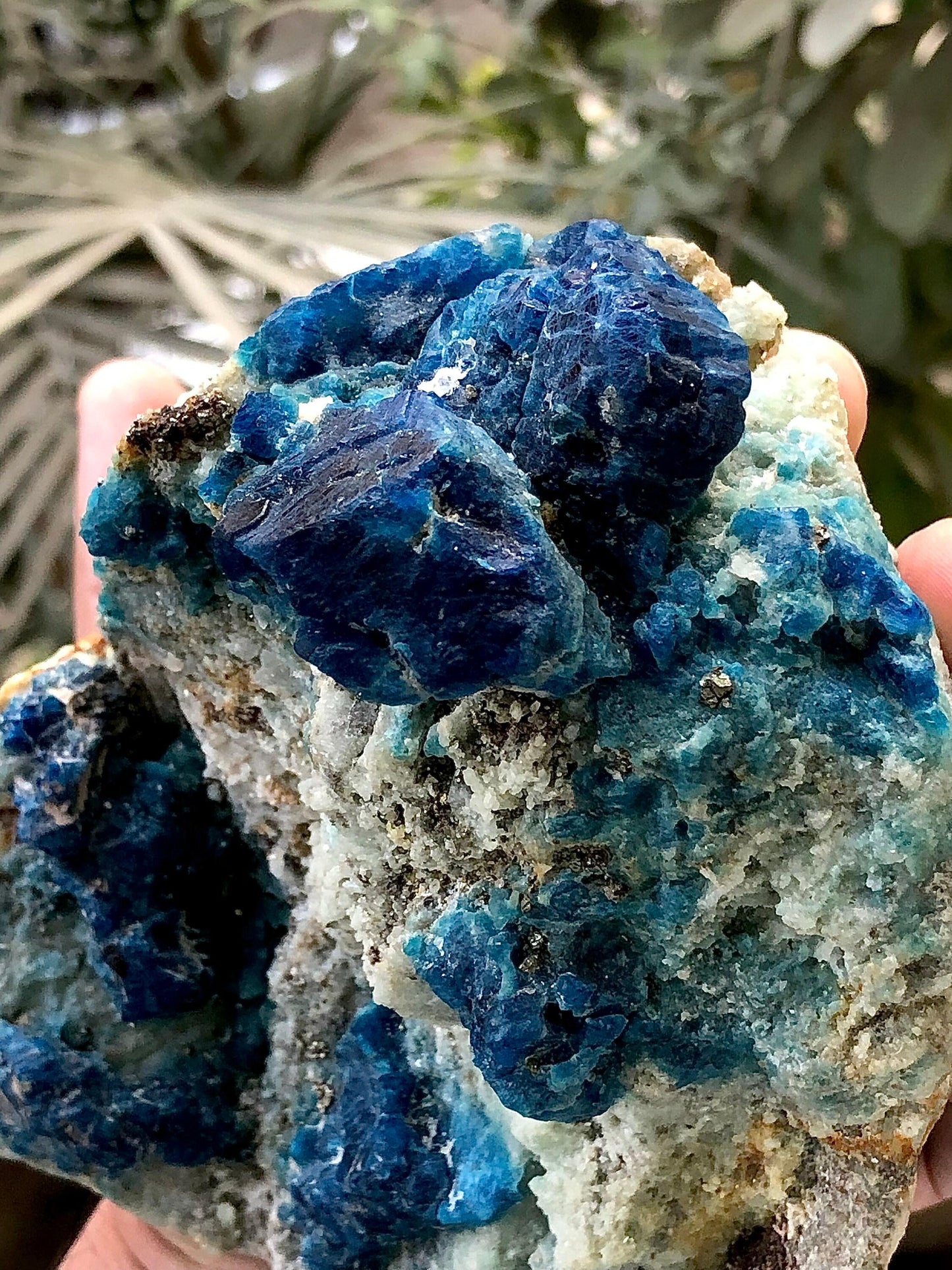 Afghanite Specimen 1 kg+ - Collector Mineral Specimen