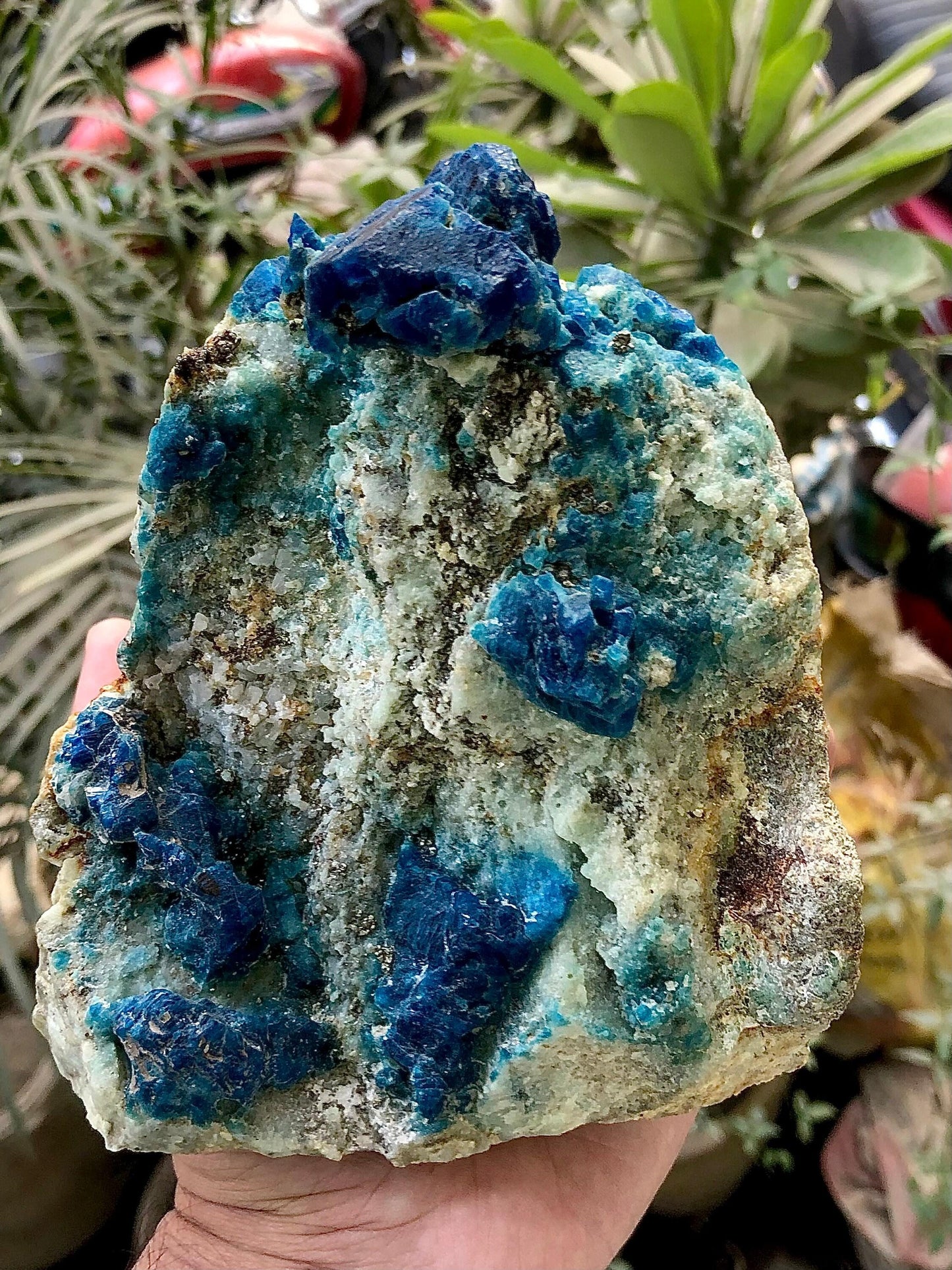 Afghanite Specimen 1 kg+ - Collector Mineral Specimen