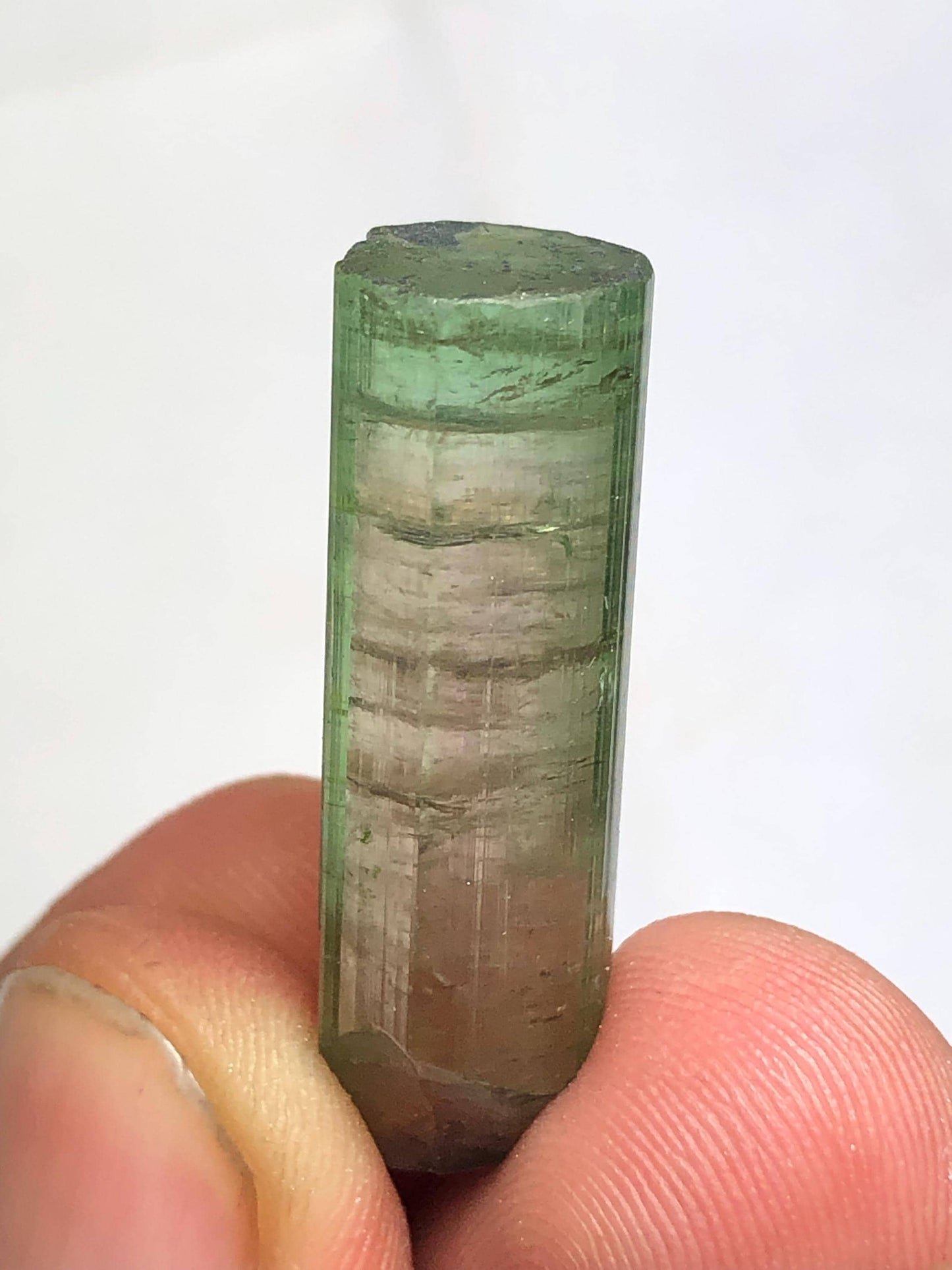 Tourmaline Crystal 27.60 ct - Collector Mineral Specimen