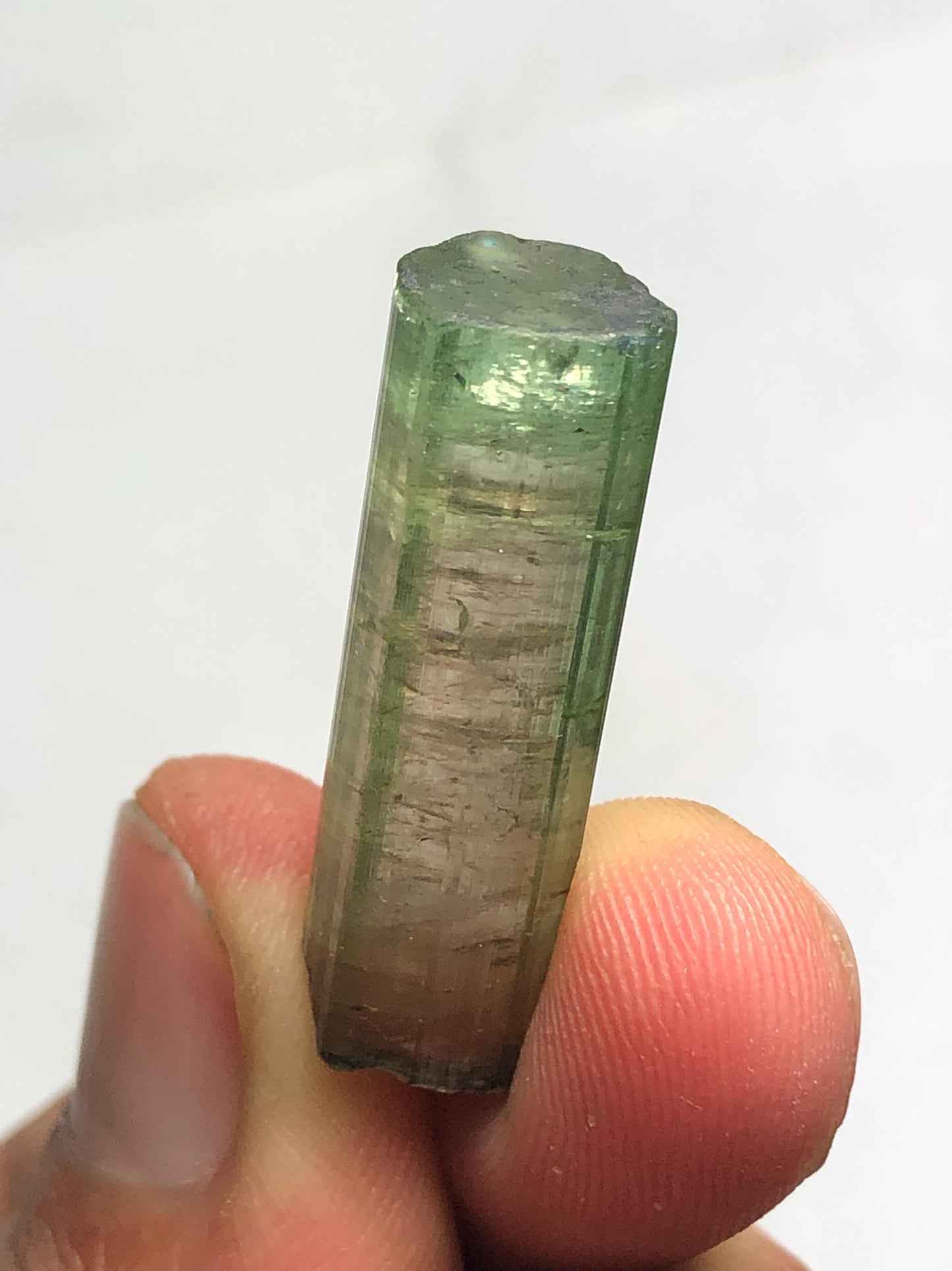 Tourmaline Crystal 27.60 ct - Collector Mineral Specimen