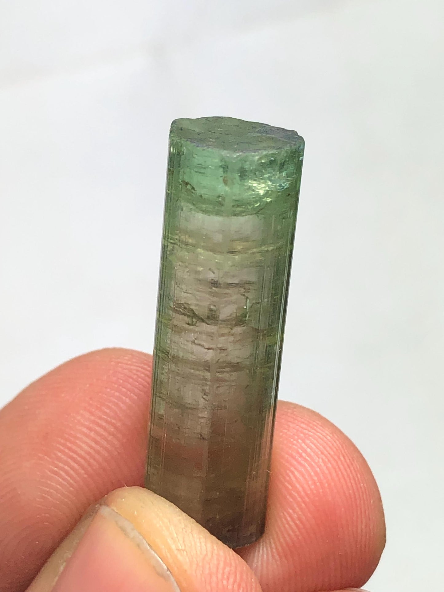 Tourmaline Crystal 27.60 ct - Collector Mineral Specimen