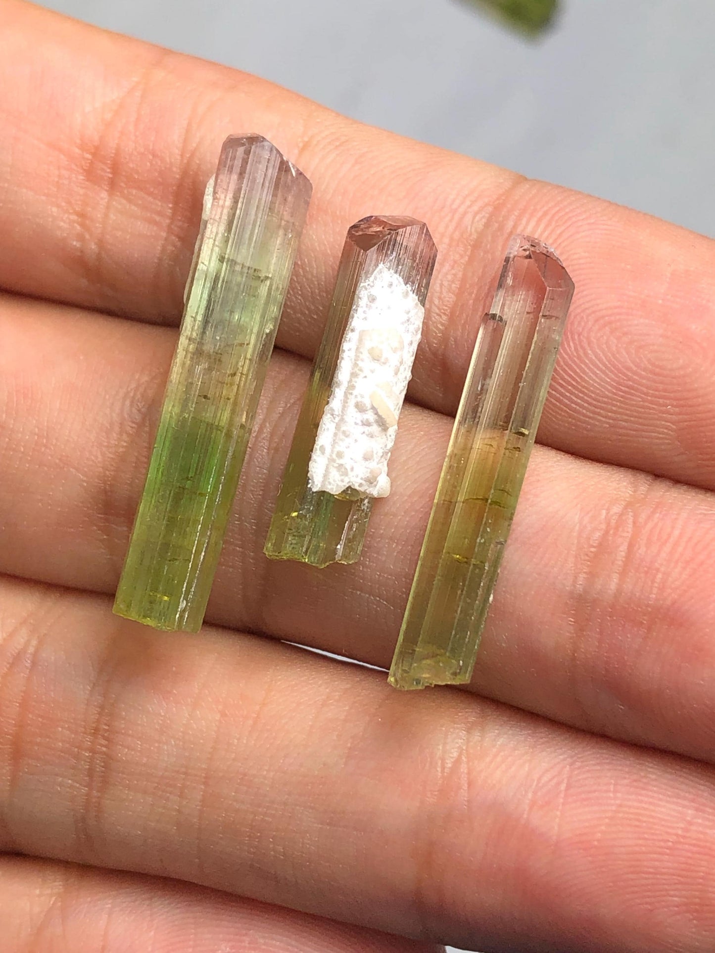 Bi Colour Tourmaline Crystals 22 ct - Collector Mineral Lot