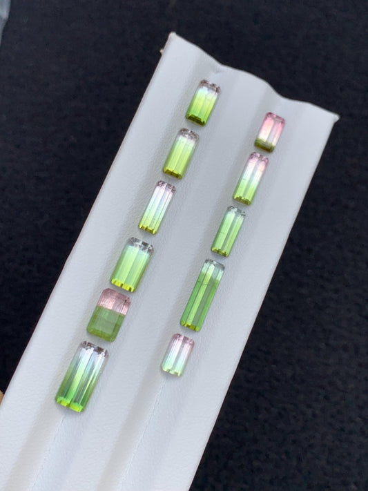 Watermelon Tourmaline Faceted Pair 12 ct - Engagement Ring Stones