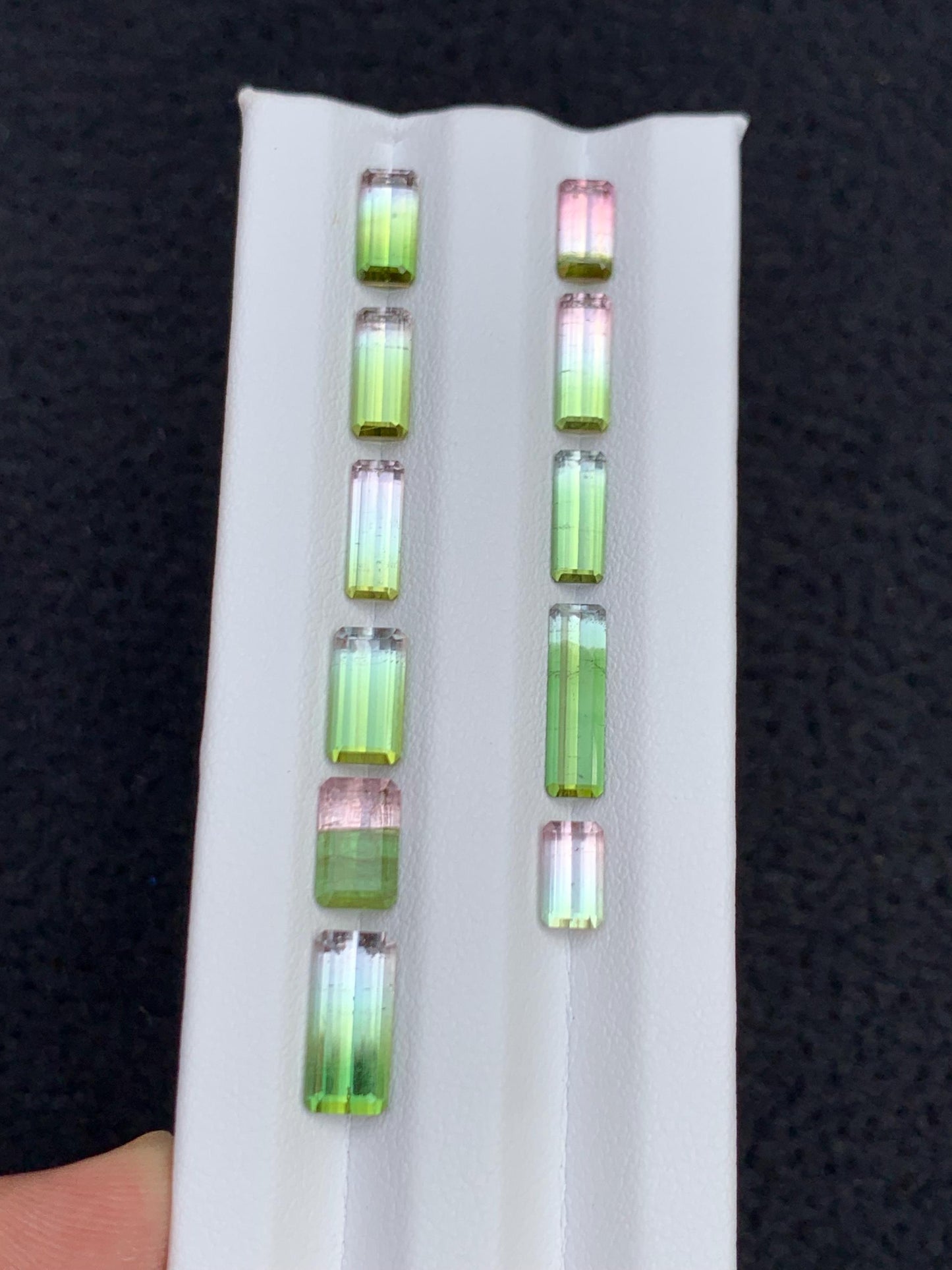 Watermelon Tourmaline Faceted Pair 12 ct - Engagement Ring Stones