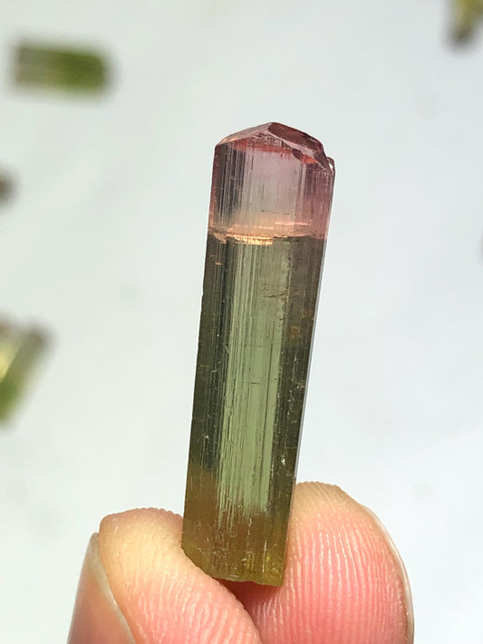 Bi Colour Tourmaline Crystal 8.30 ct - Collector Mineral Specimen
