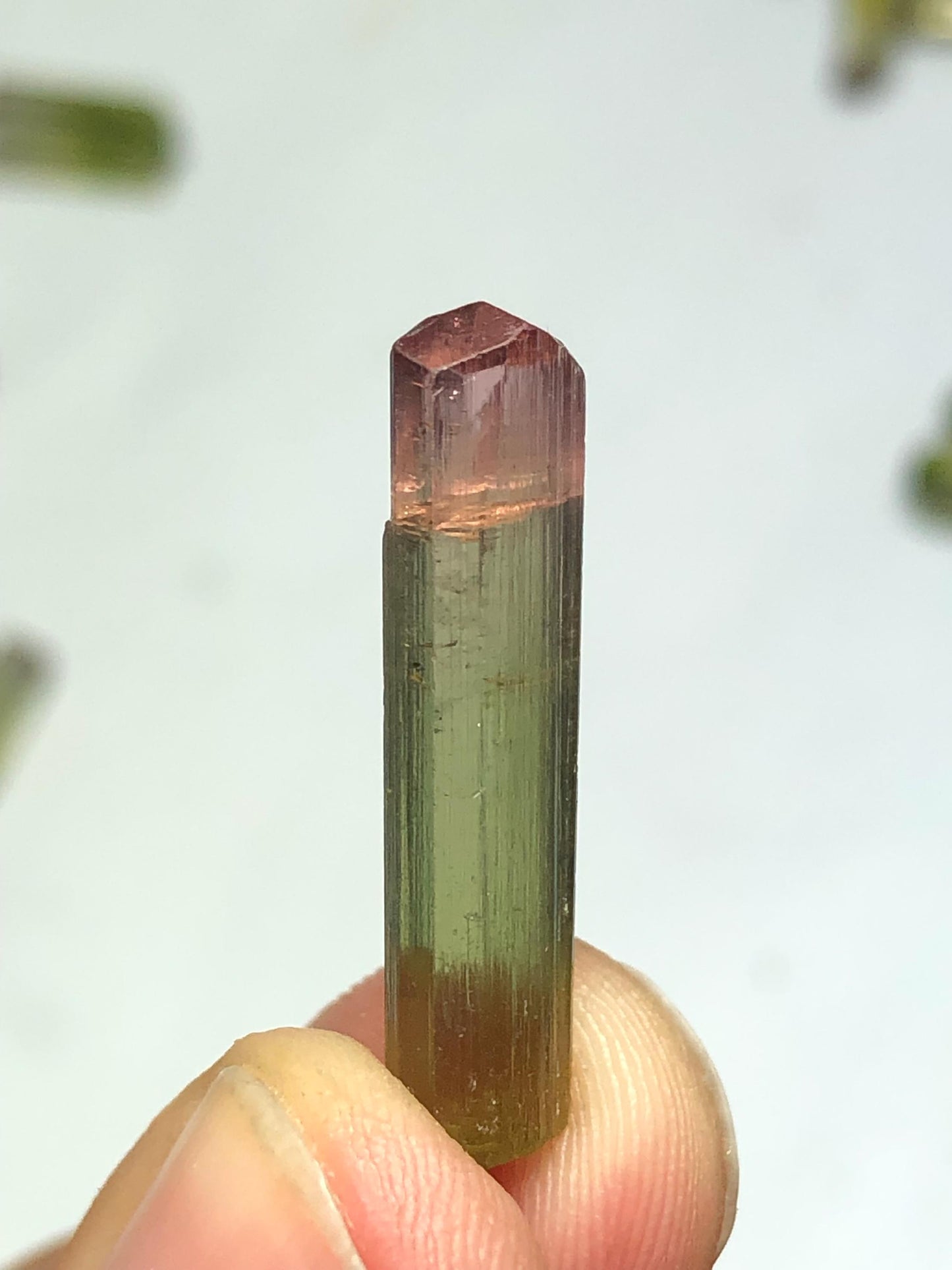 Bi Colour Tourmaline Crystal 8.30 ct - Collector Mineral Specimen